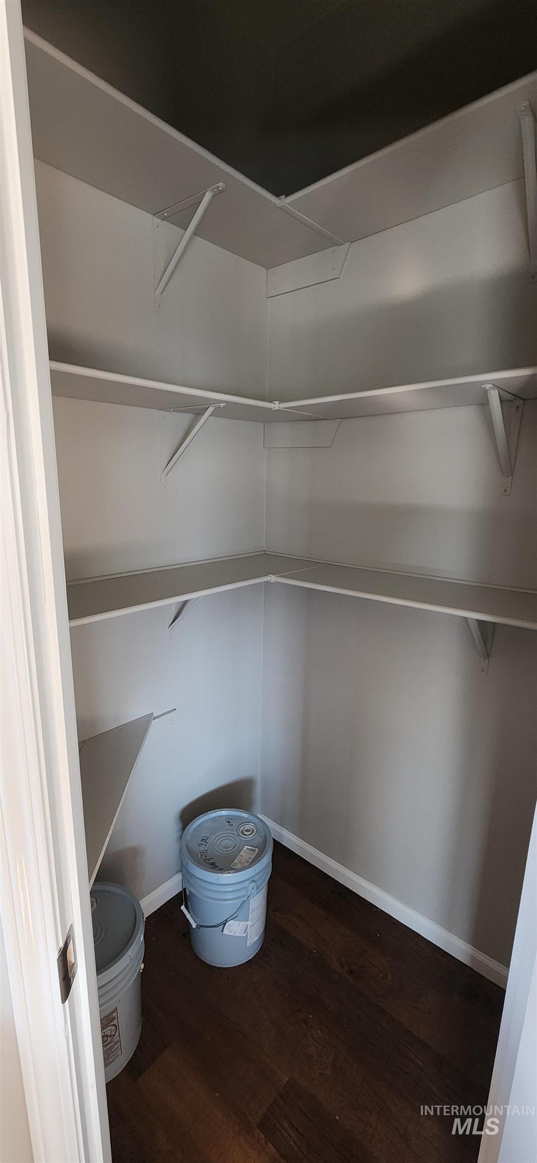 Walk in closet featuring dark wood-type flooring