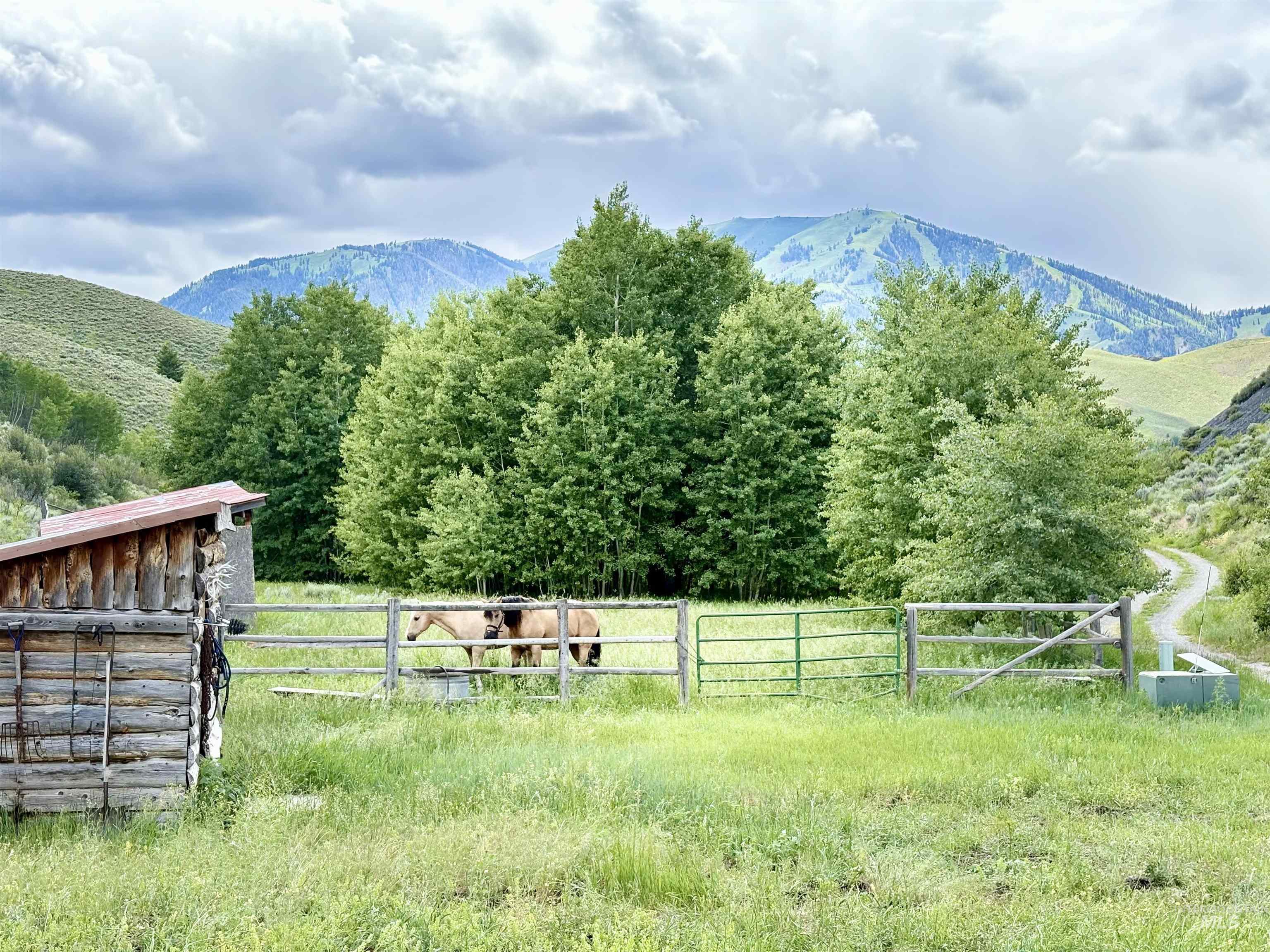 Mountain view