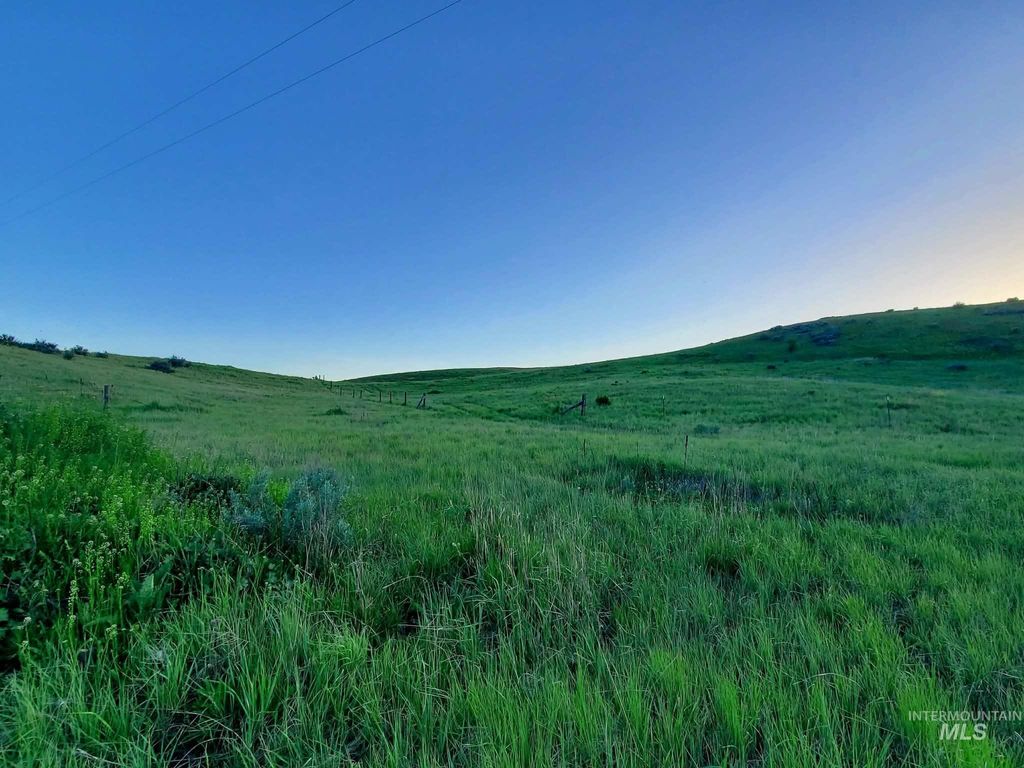Photo of 2216 Ben Ross RD, Indian Valley, ID 83632 (MLS # 98990279)