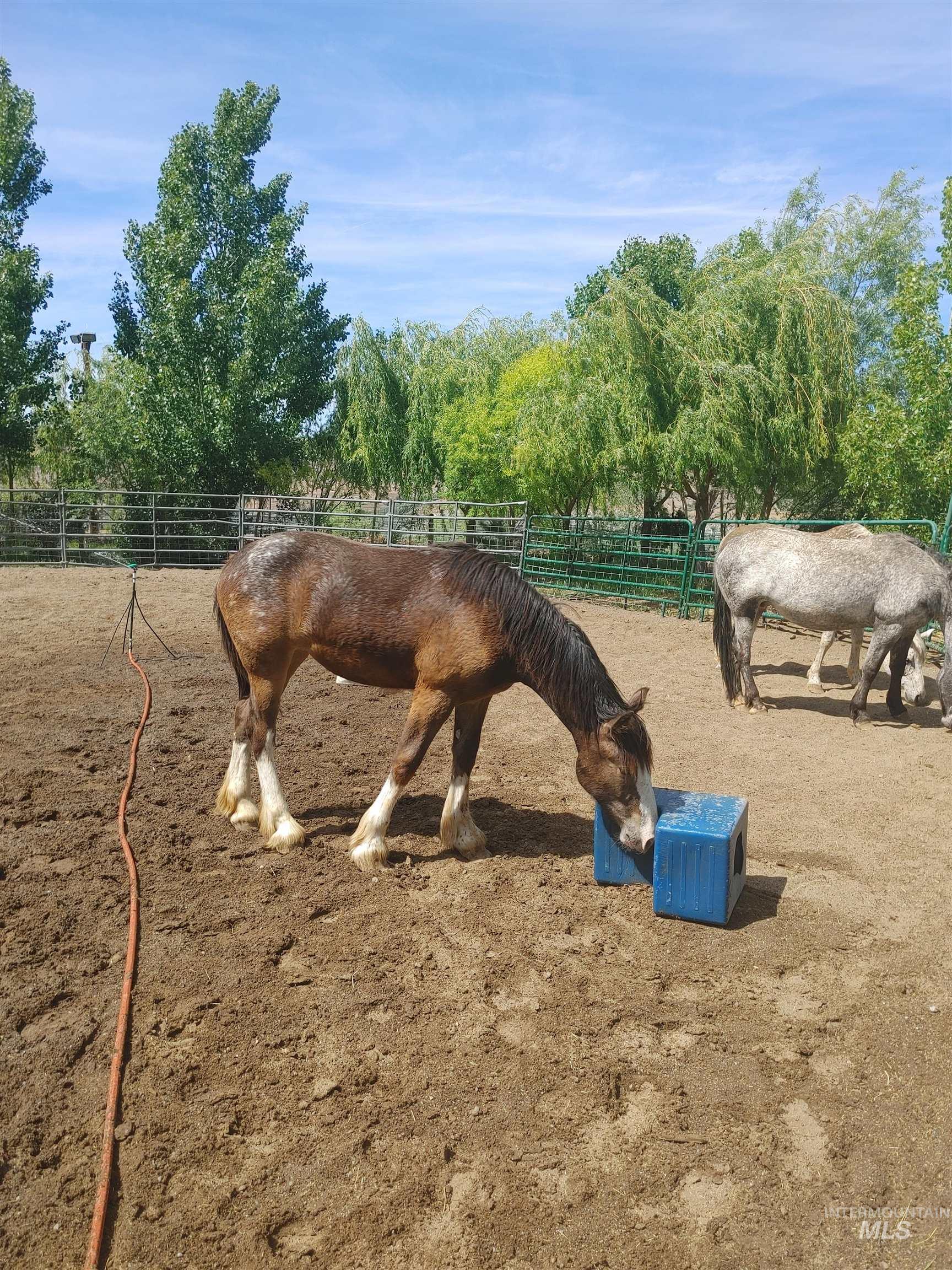 View of home's community featuring an exterior structure and a view of rural / pastoral area