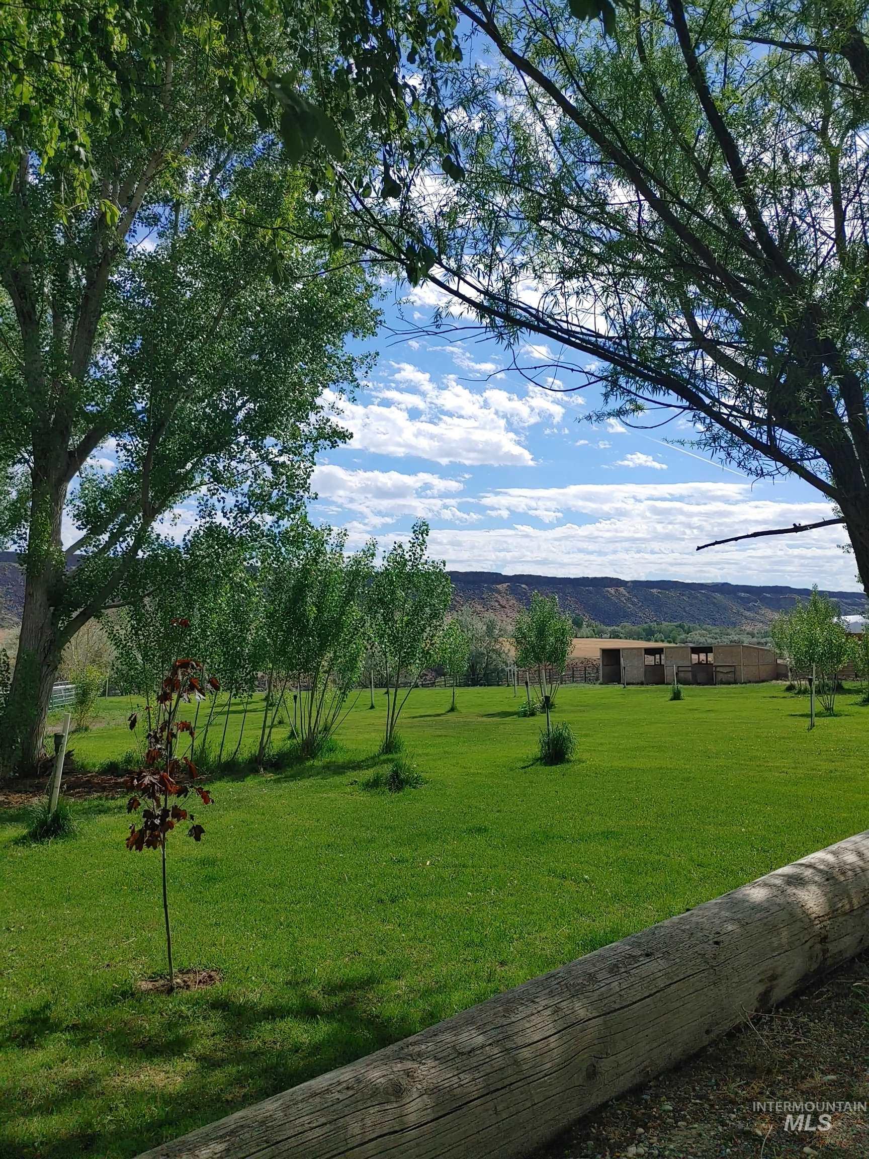 View of grassy yard with a mountain view