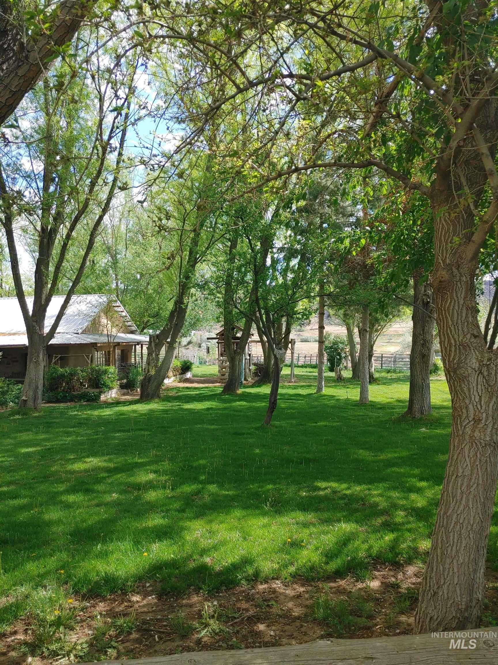 View of grassy yard