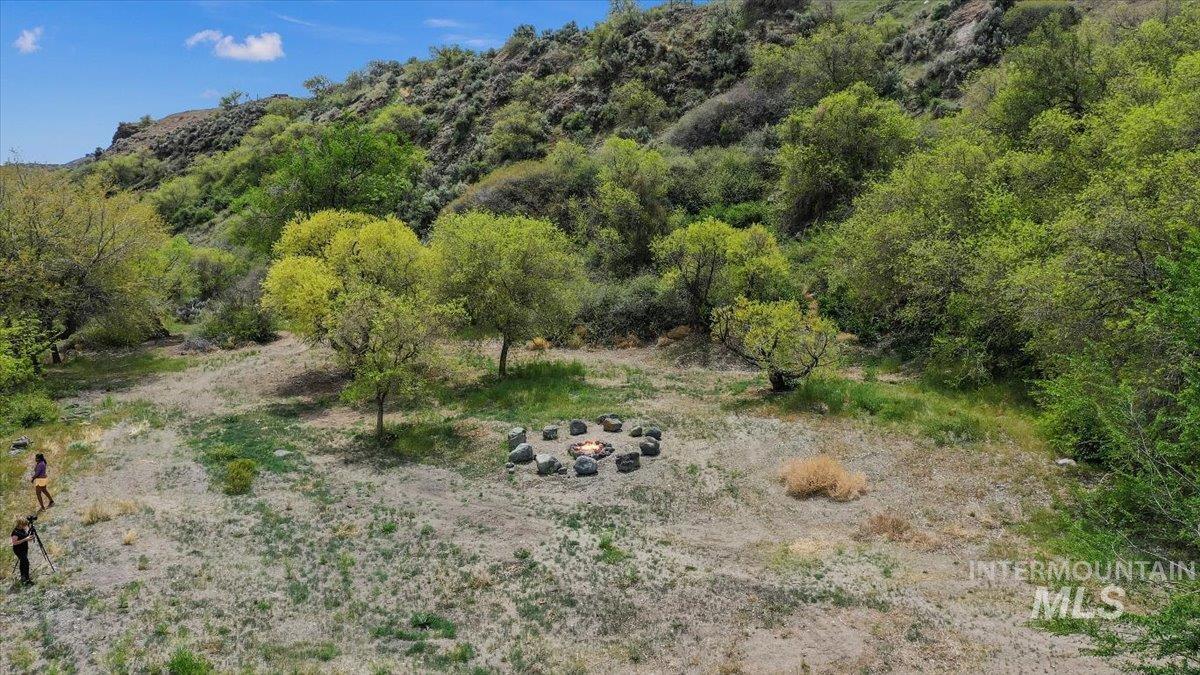 View of local wilderness