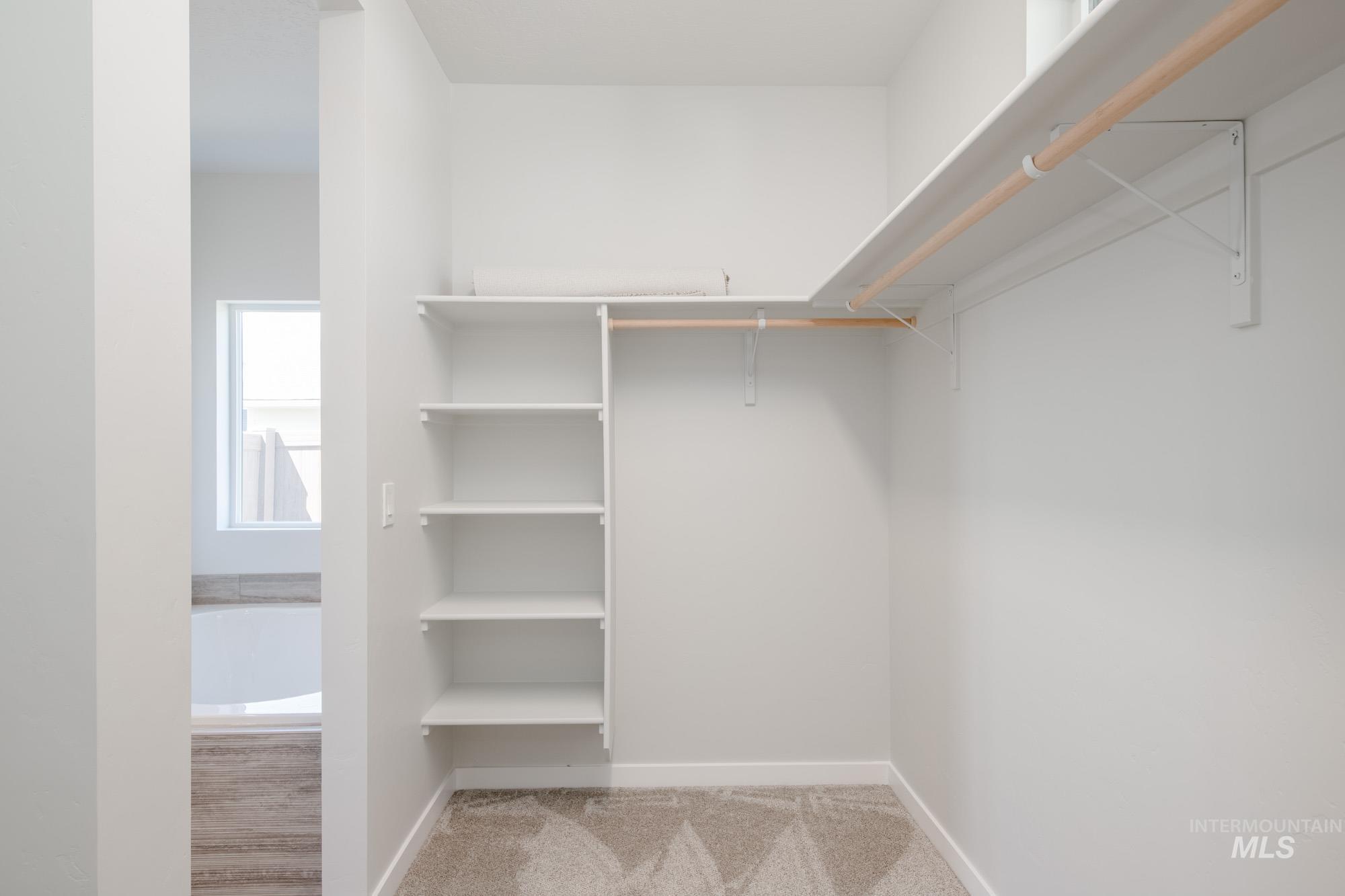 Spacious closet with carpet