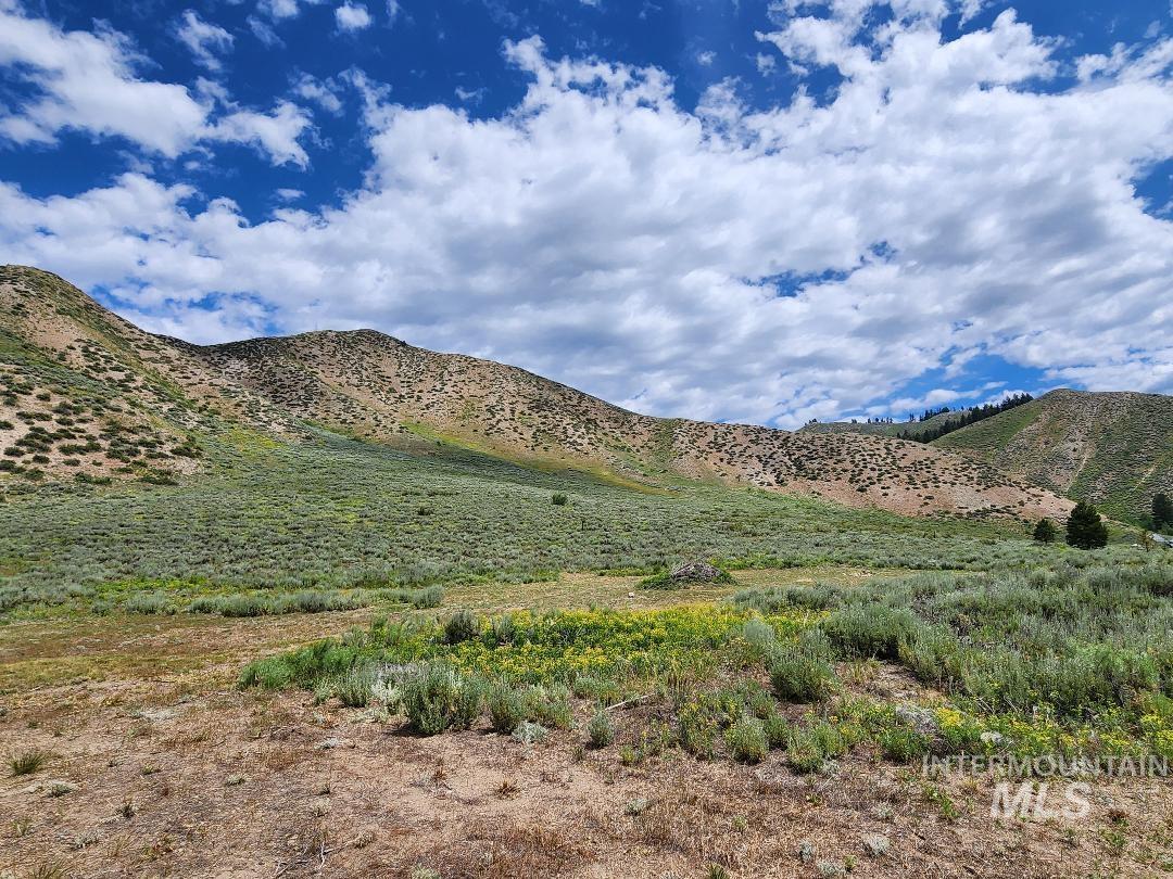 TBD E Forrest Circle