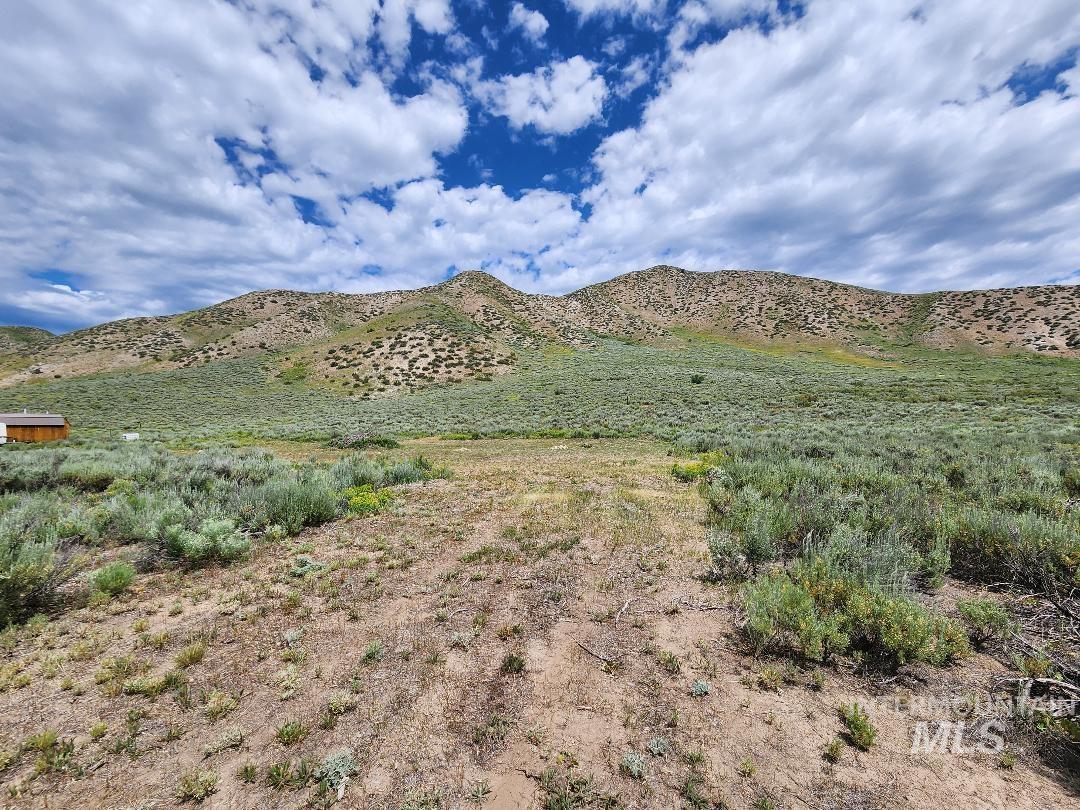 TBD E Forrest Circle