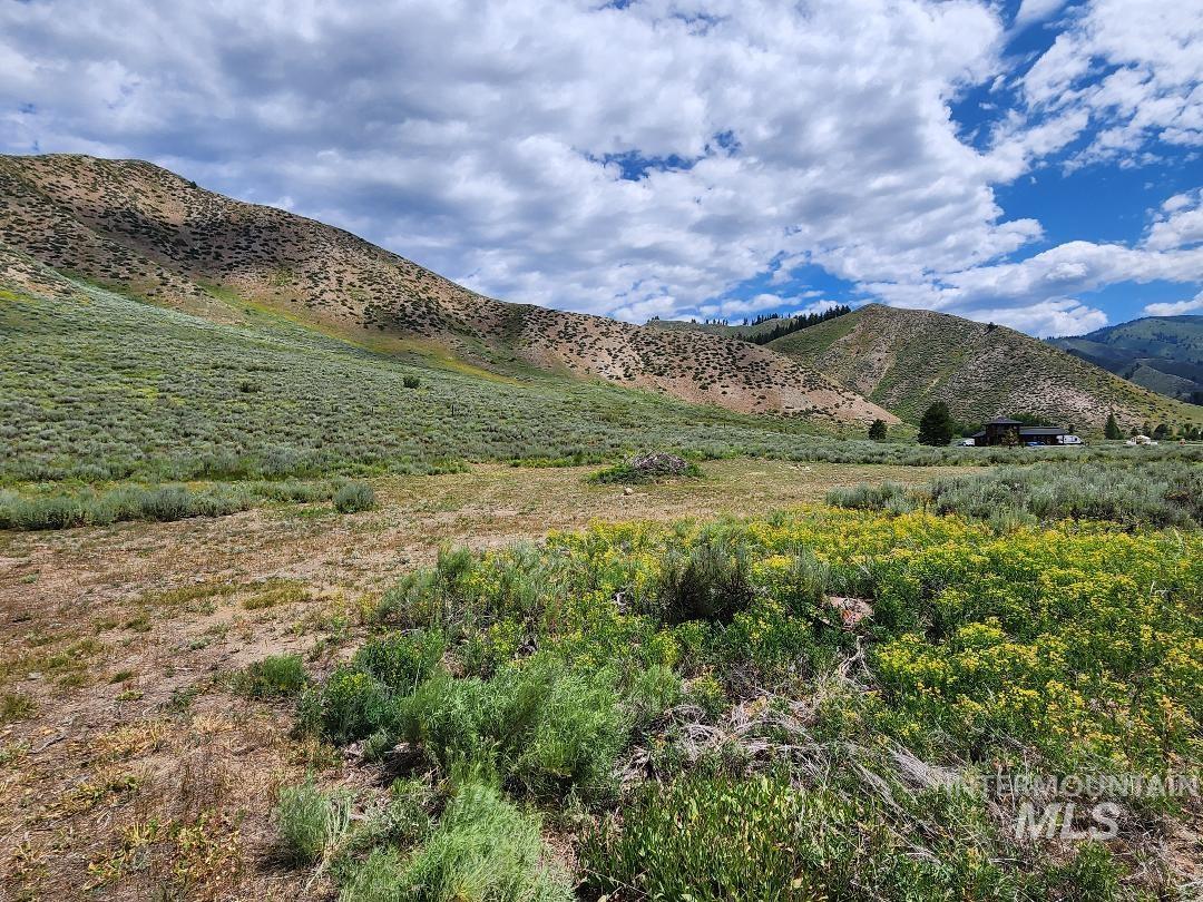 TBD E Forrest Circle