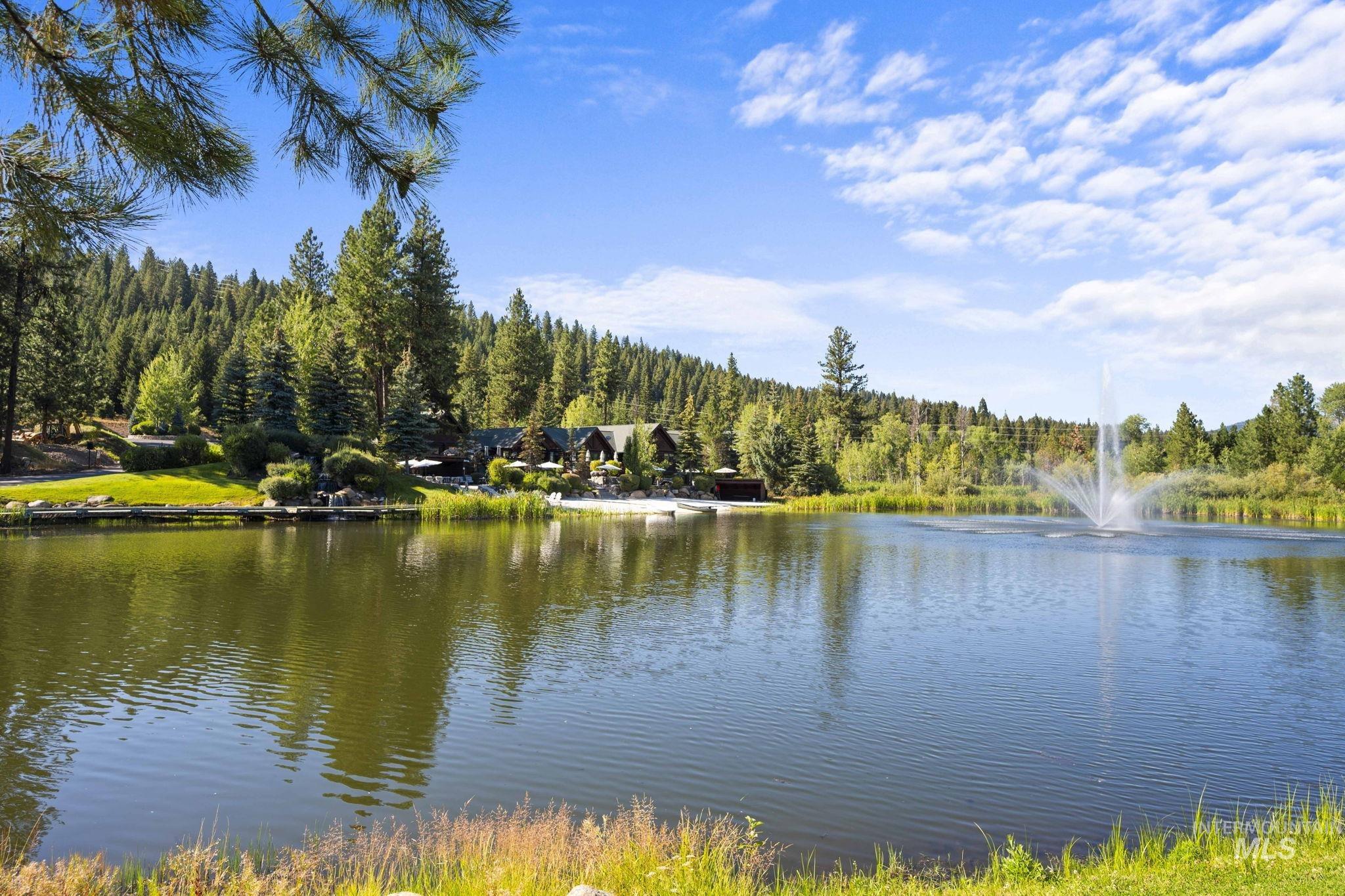 Water view with a forest