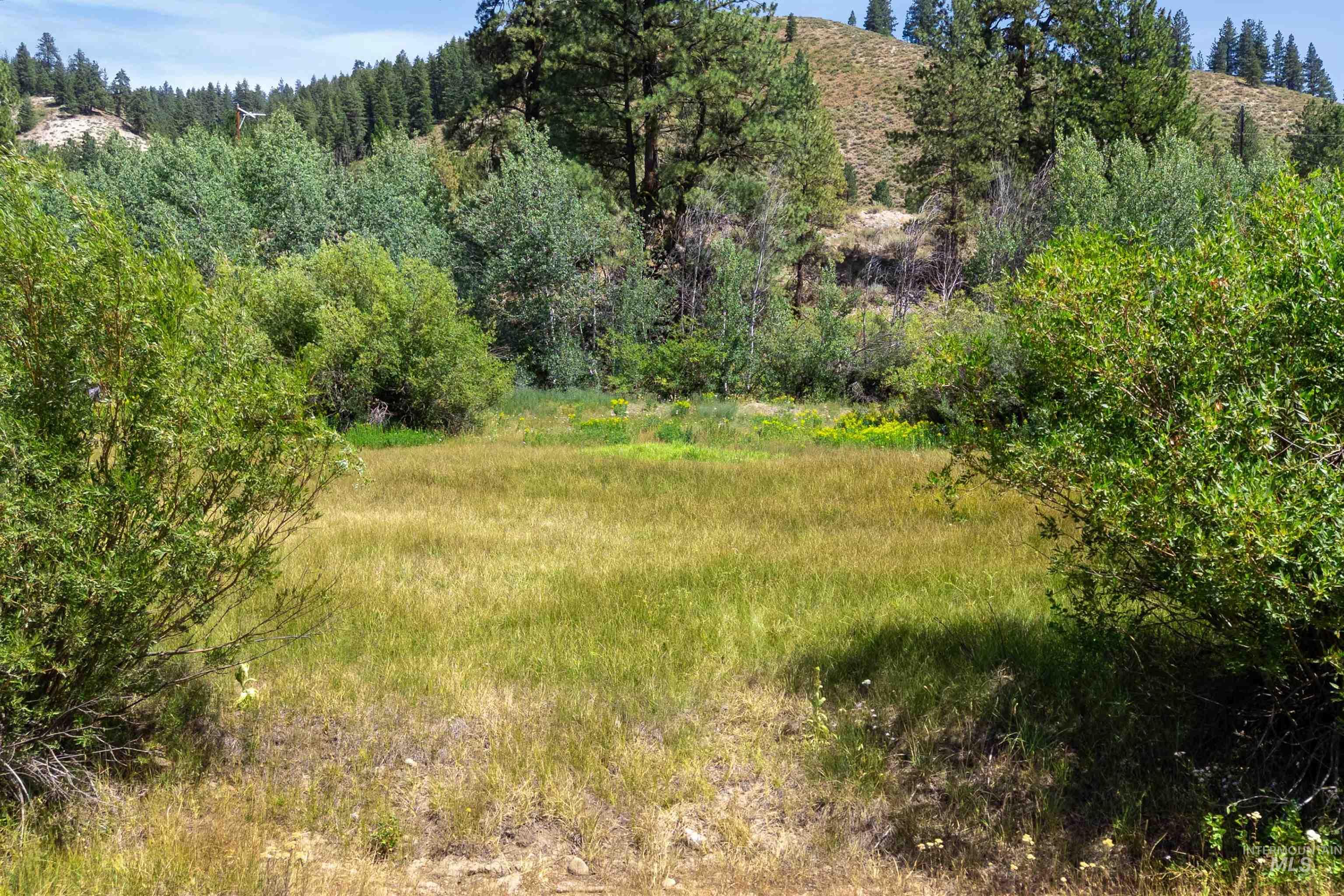 TBD Lot 51 Blk 1 Amended Elk Valley