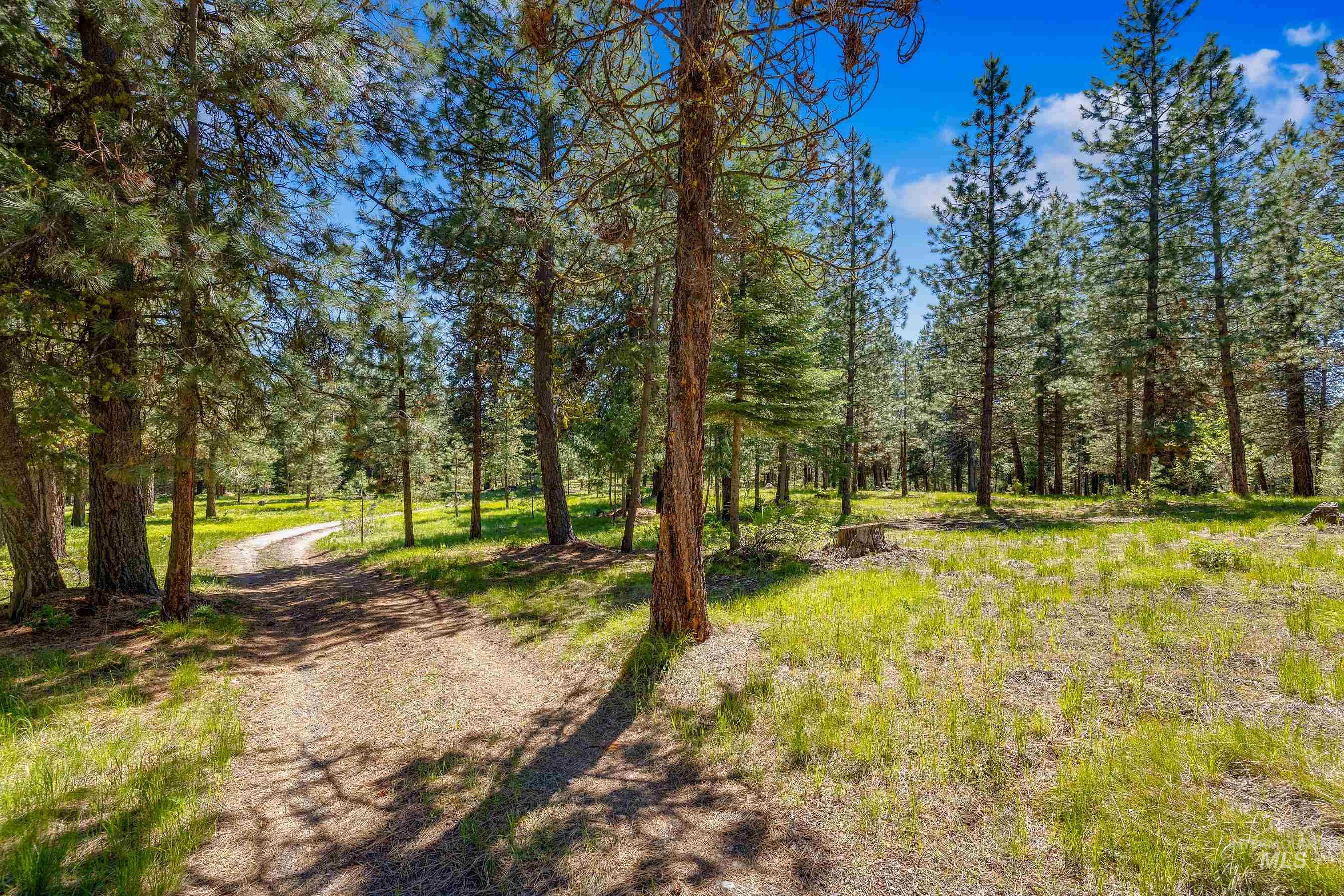 View of yard featuring a view of trees