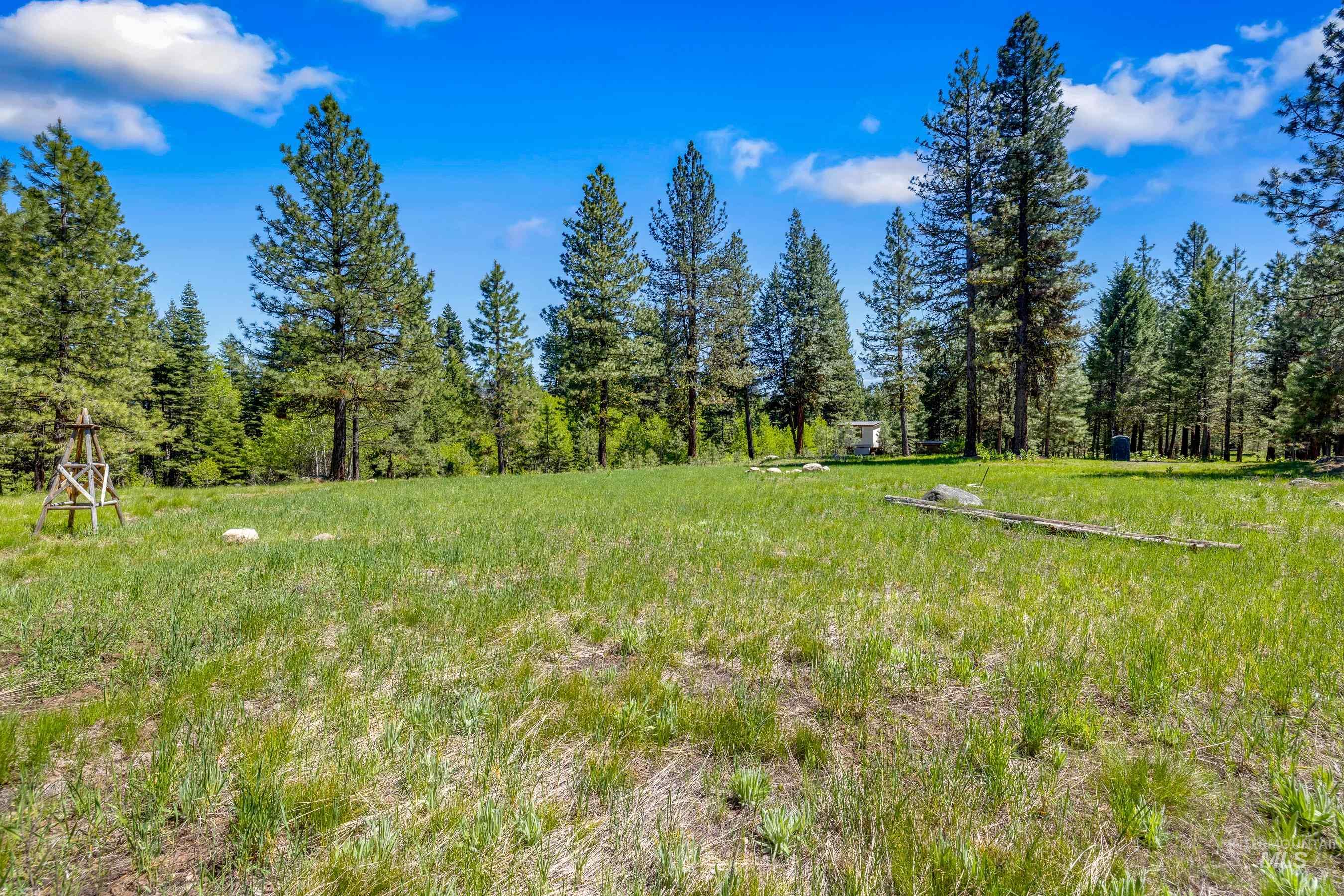 View of yard featuring a wooded view