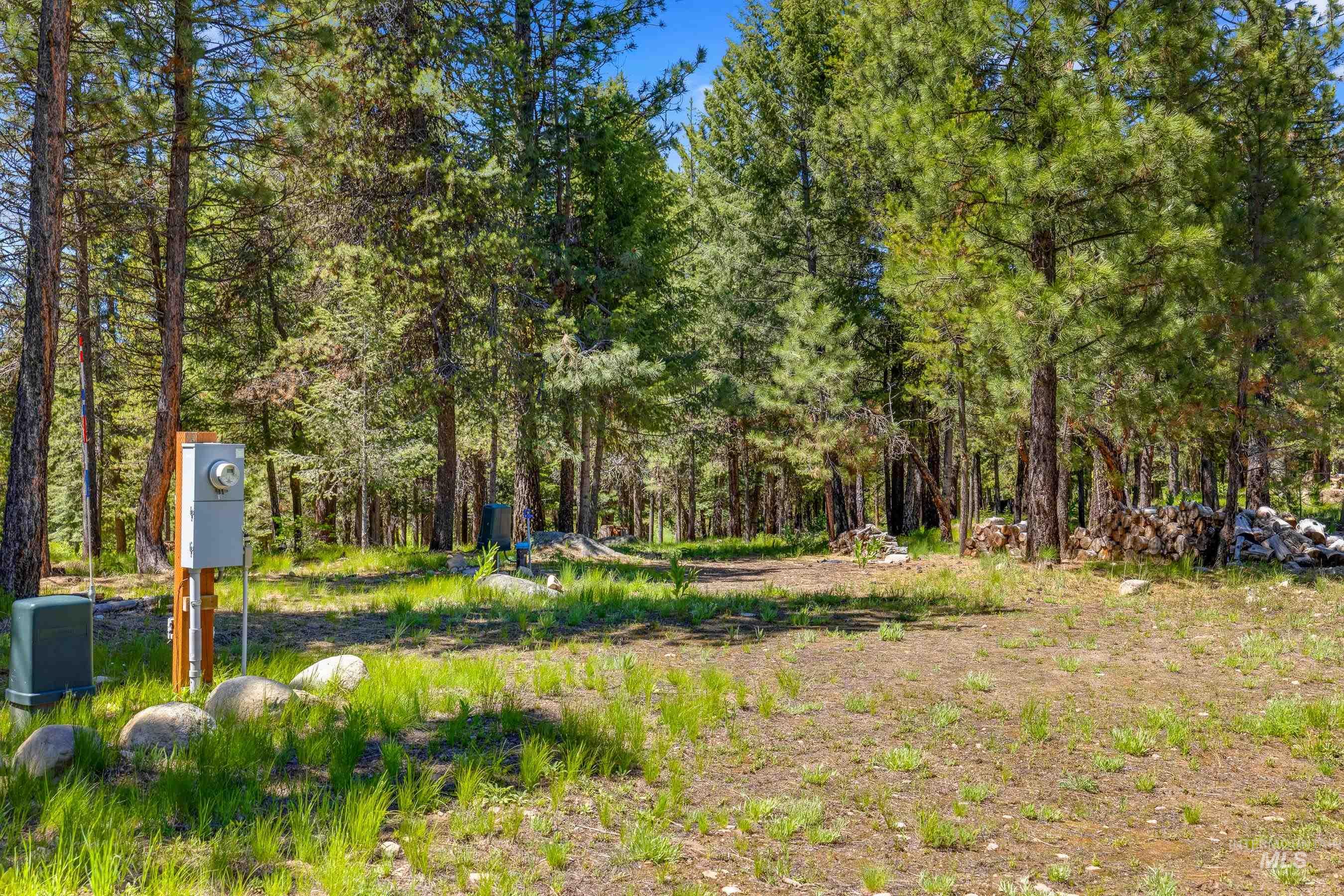 View of yard featuring a view of trees