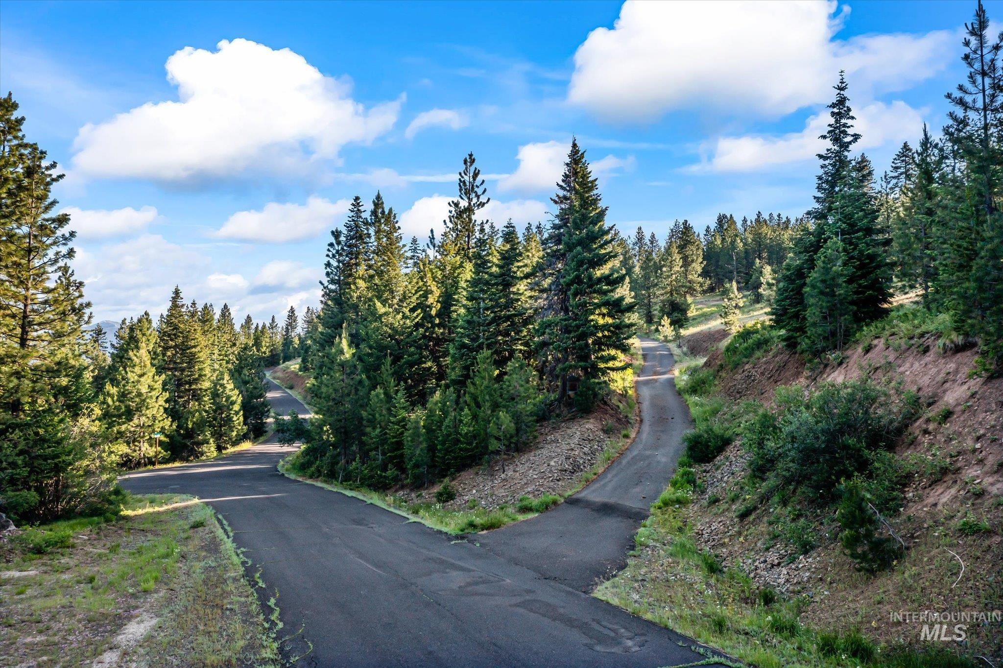 View of asphalt road with a view of trees