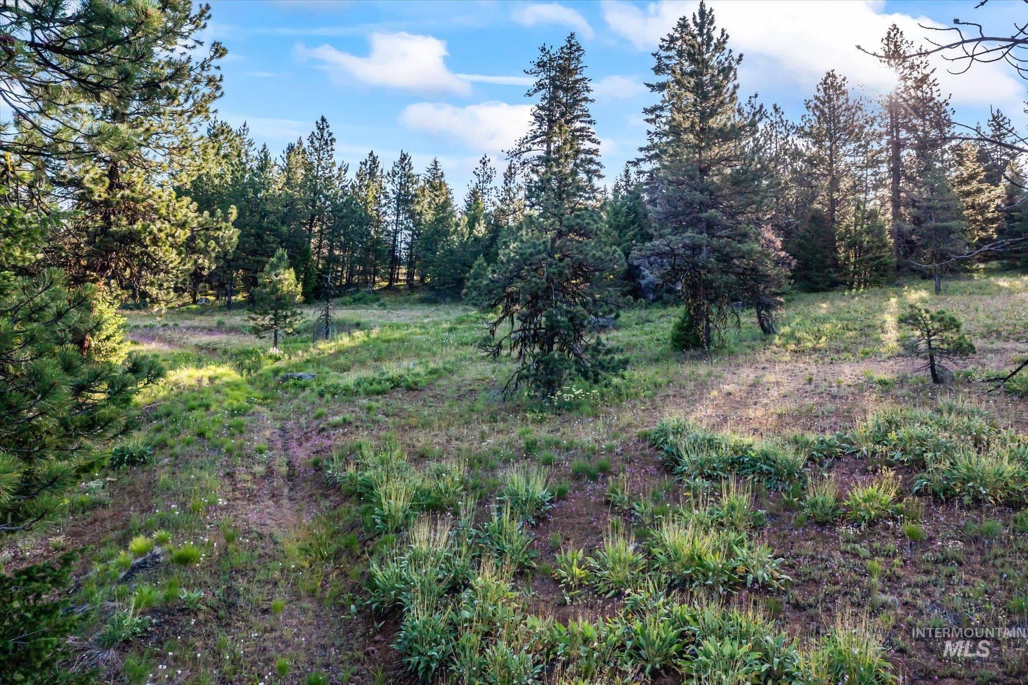 View of undeveloped land