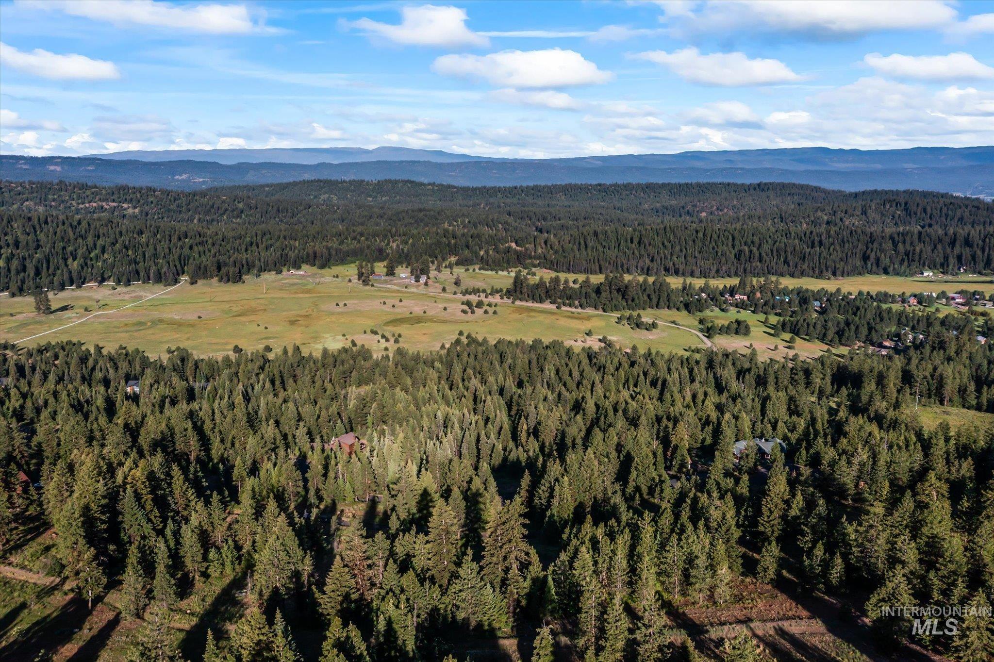 Mountain view with a heavily wooded area