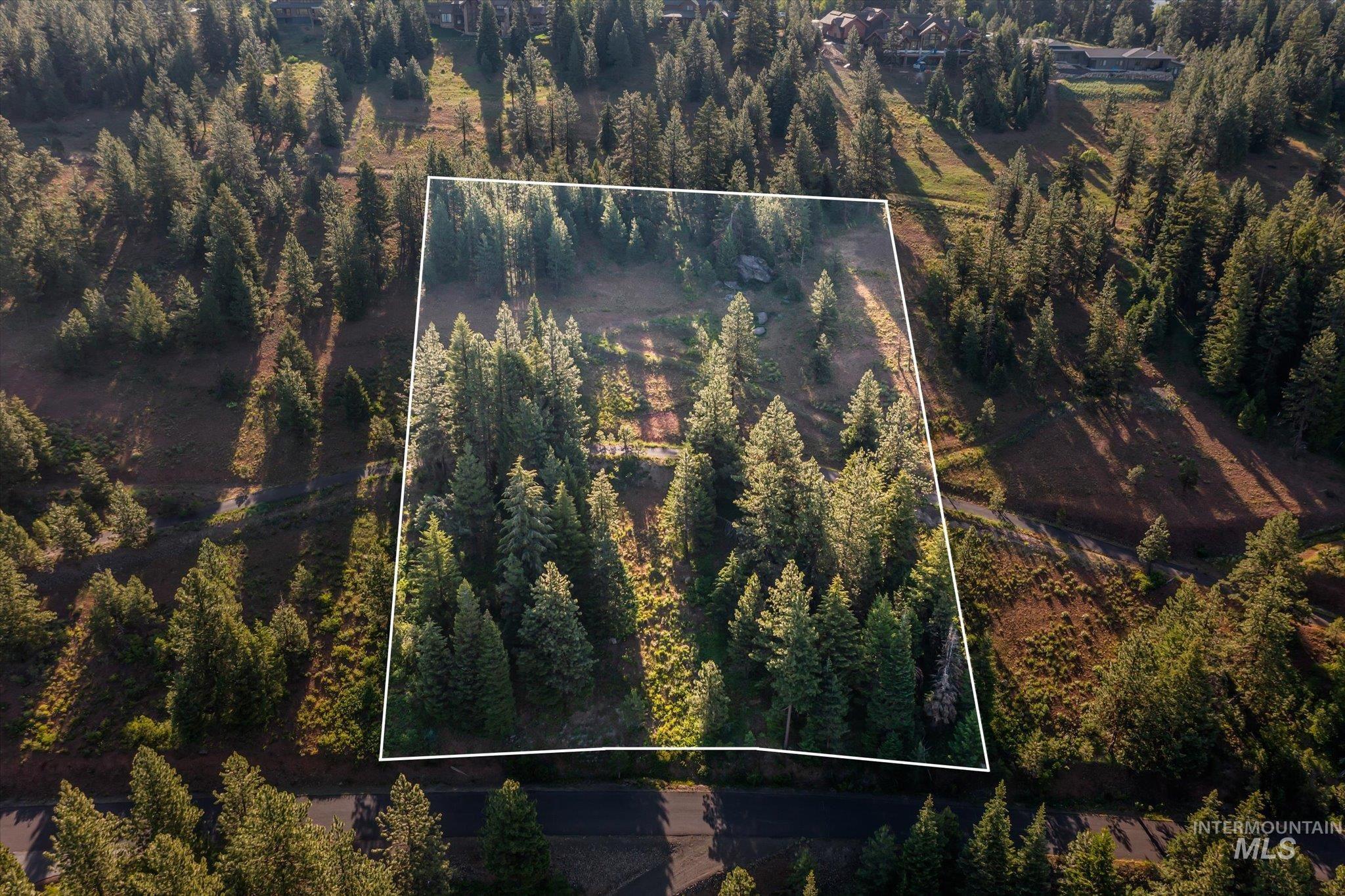Aerial view of property's location featuring a forest and property boundaries highlighted