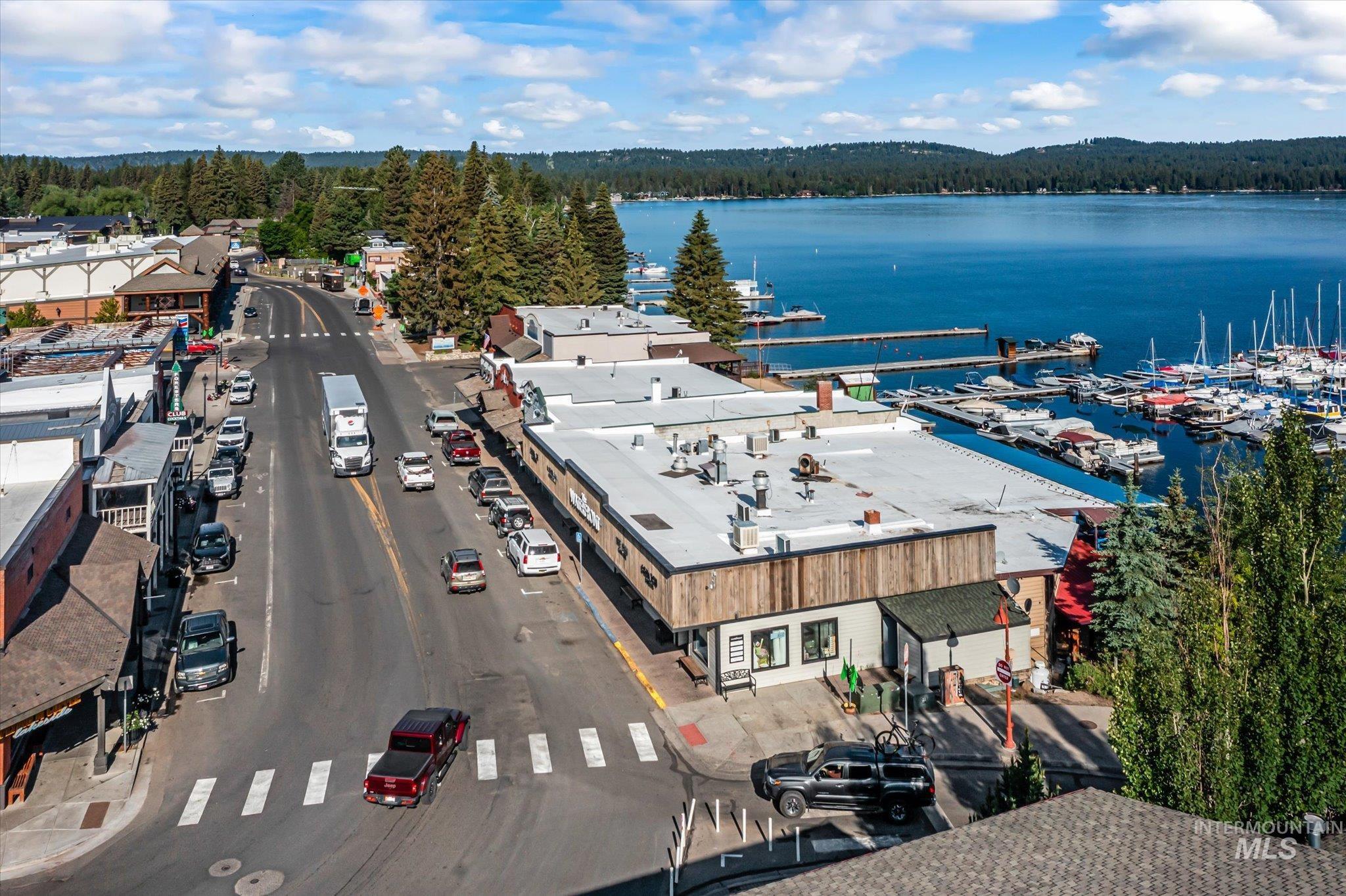 Drone / aerial view of a large body of water and a forest