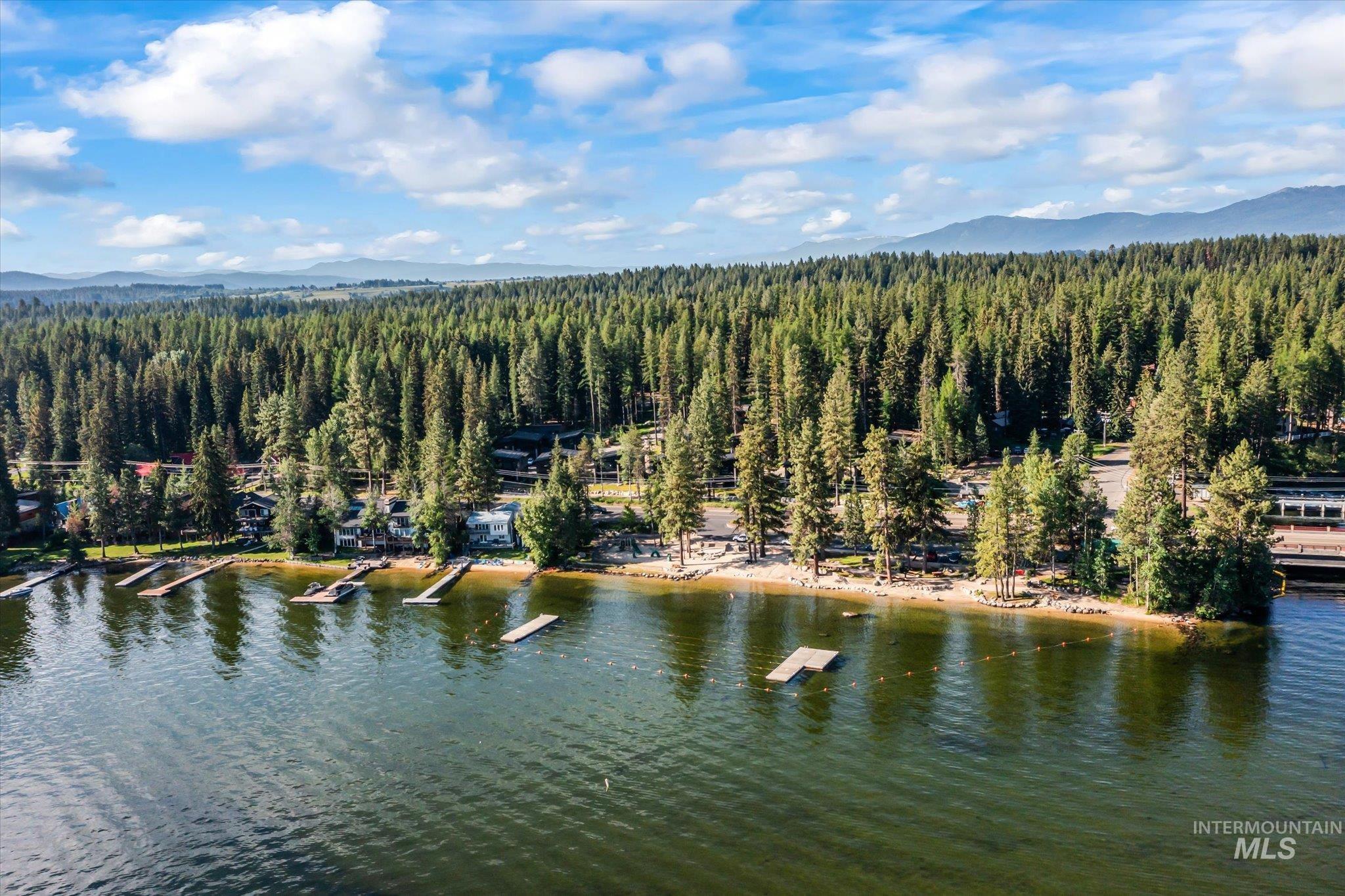 Bird's eye view of a water and mountain view and a heavily wooded area