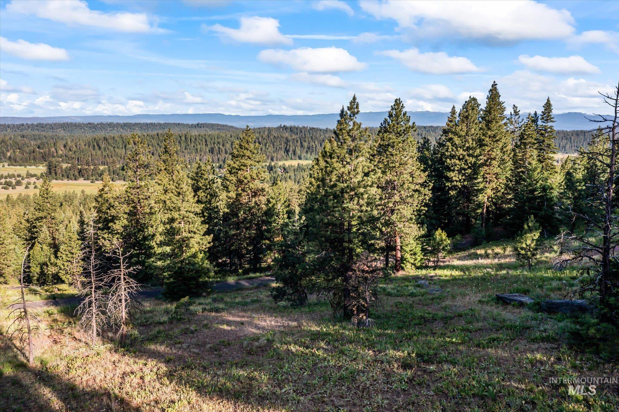 View of mountain backdrop with a forest