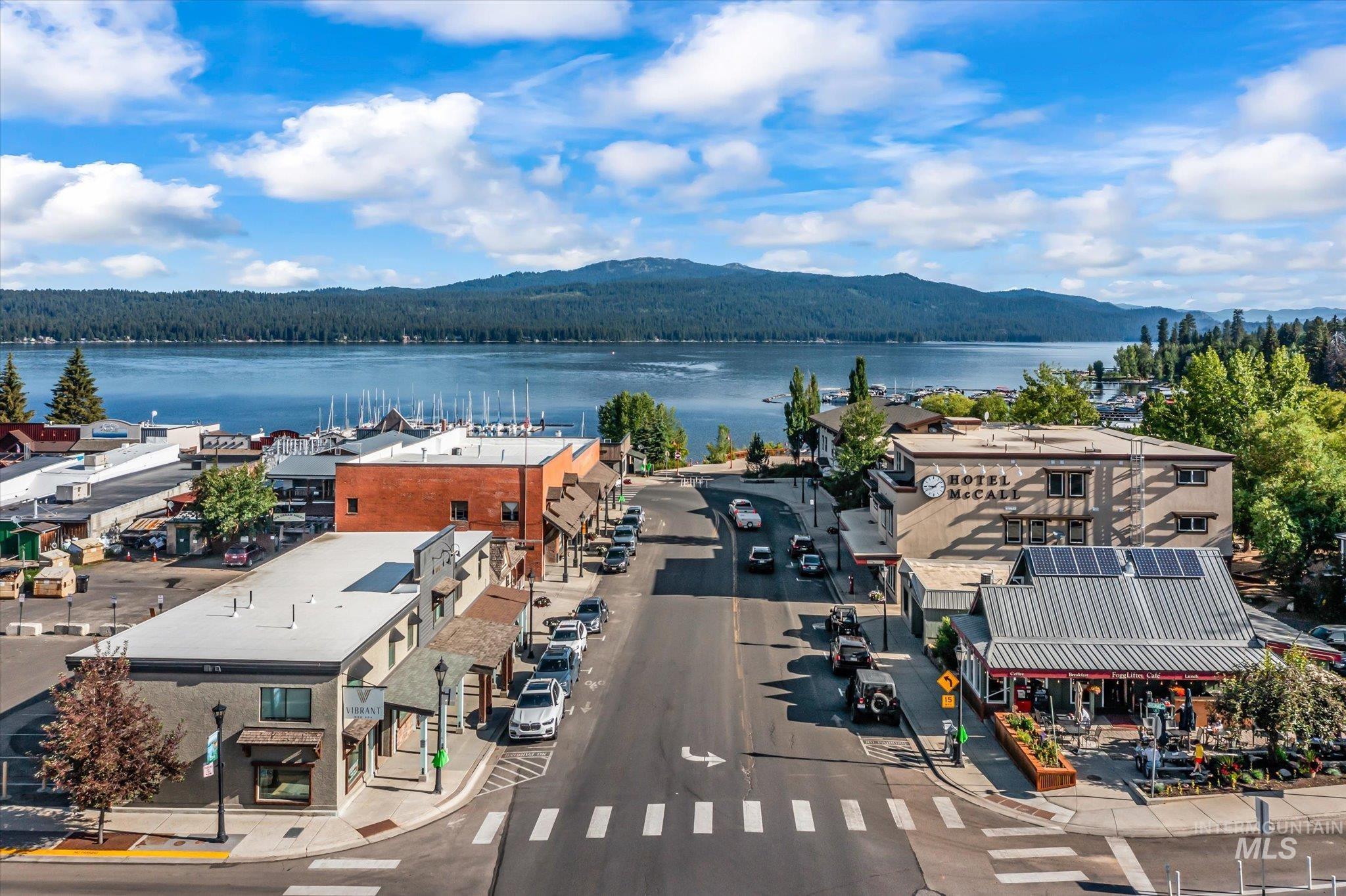 Aerial view of a water and mountain view and a forest
