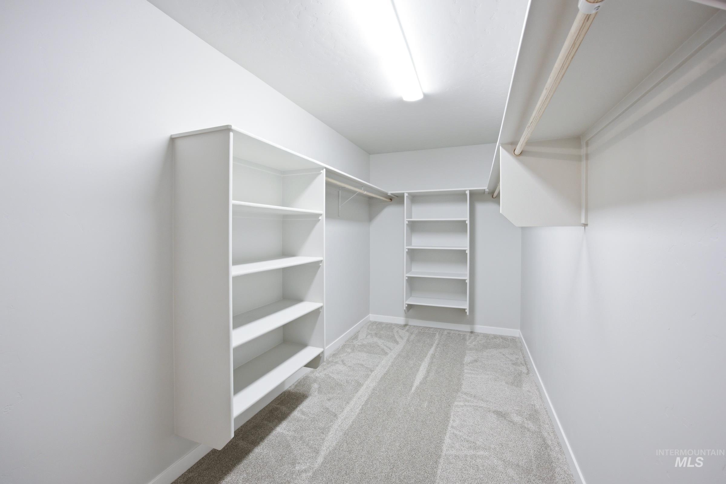Spacious walk-in closet featuring light gray carpet, white walls, and built-in shelving units