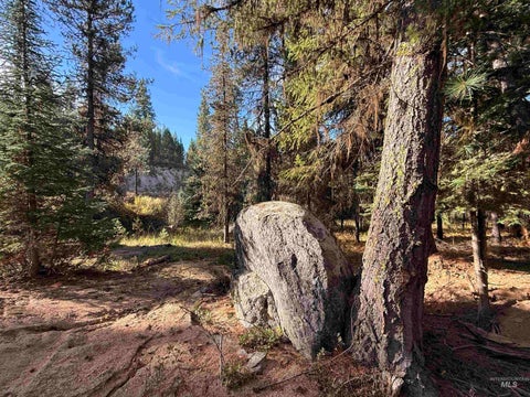 Photo of 20 Laurins Lane, Cascade, ID 83611 (MLS # 99002273)