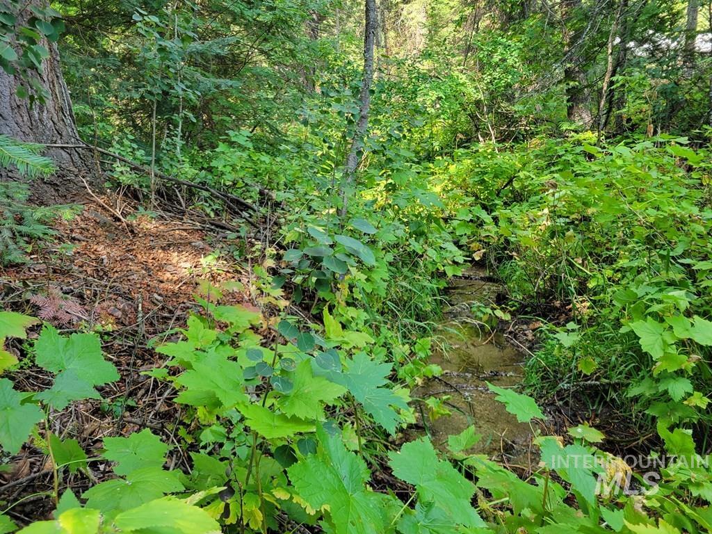 View of undeveloped land
