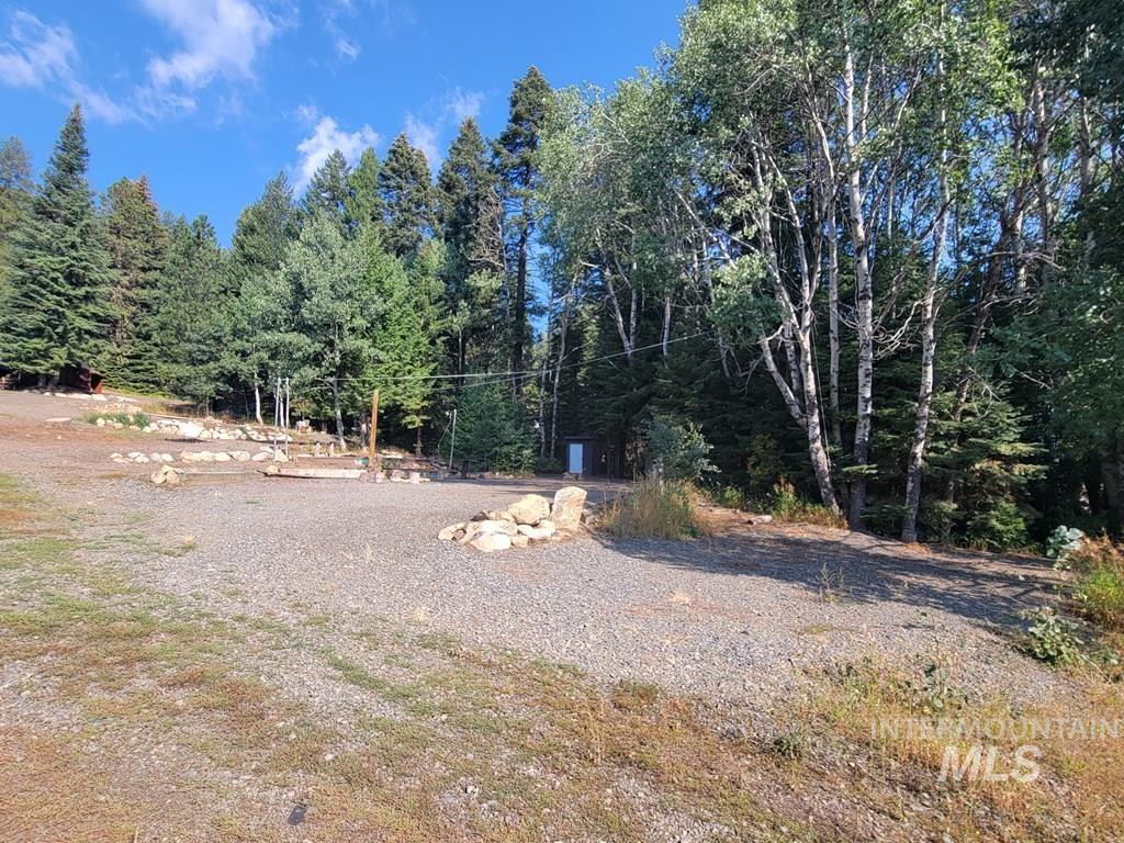 View of yard with a view of trees