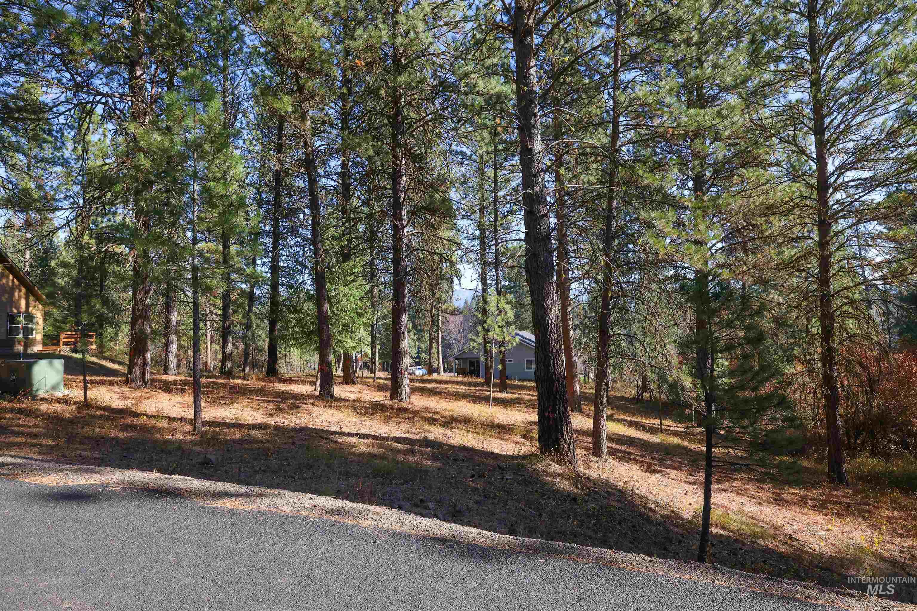 TBD Columbine Drive