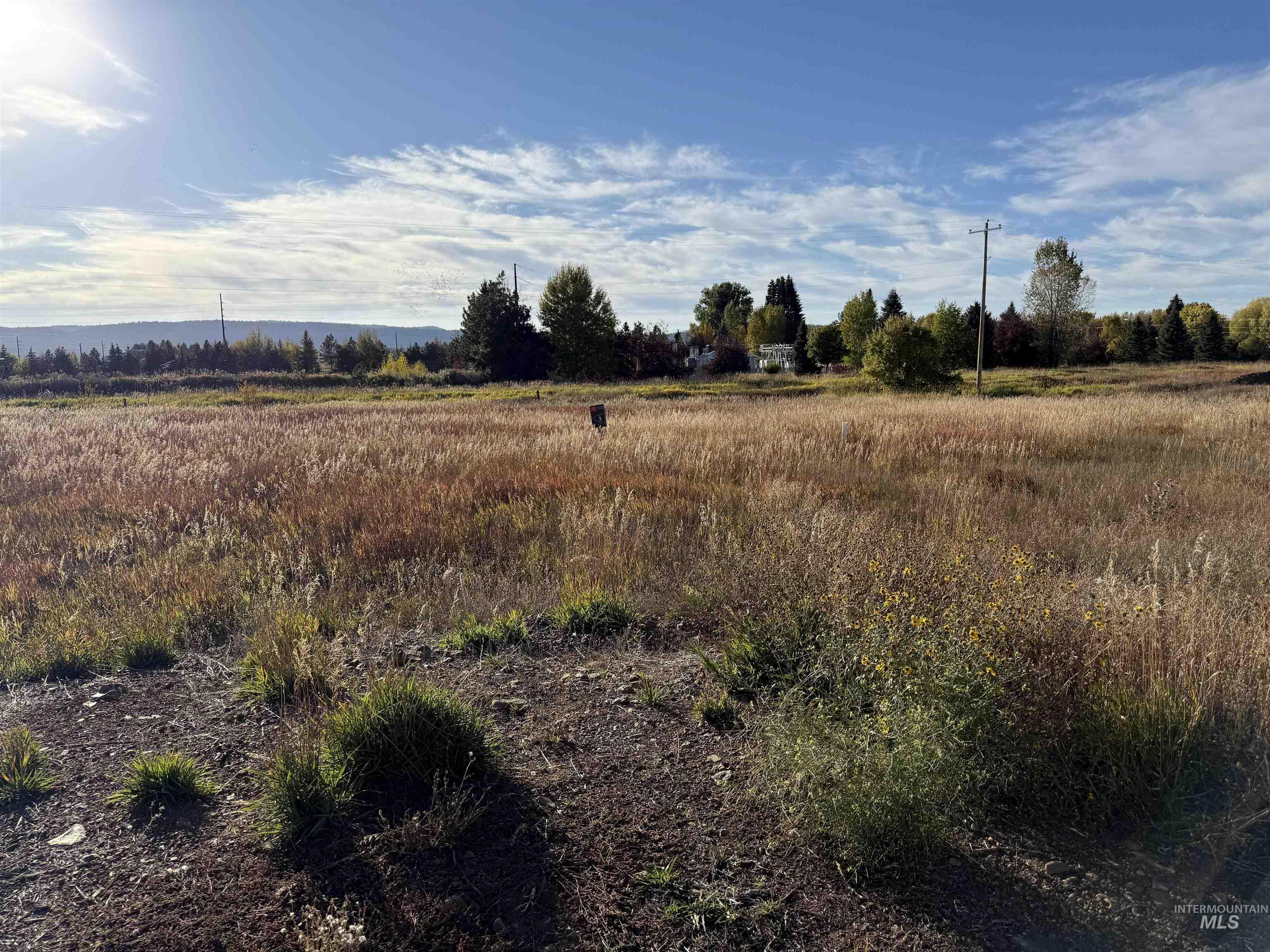 View of undeveloped land featuring rural landscape