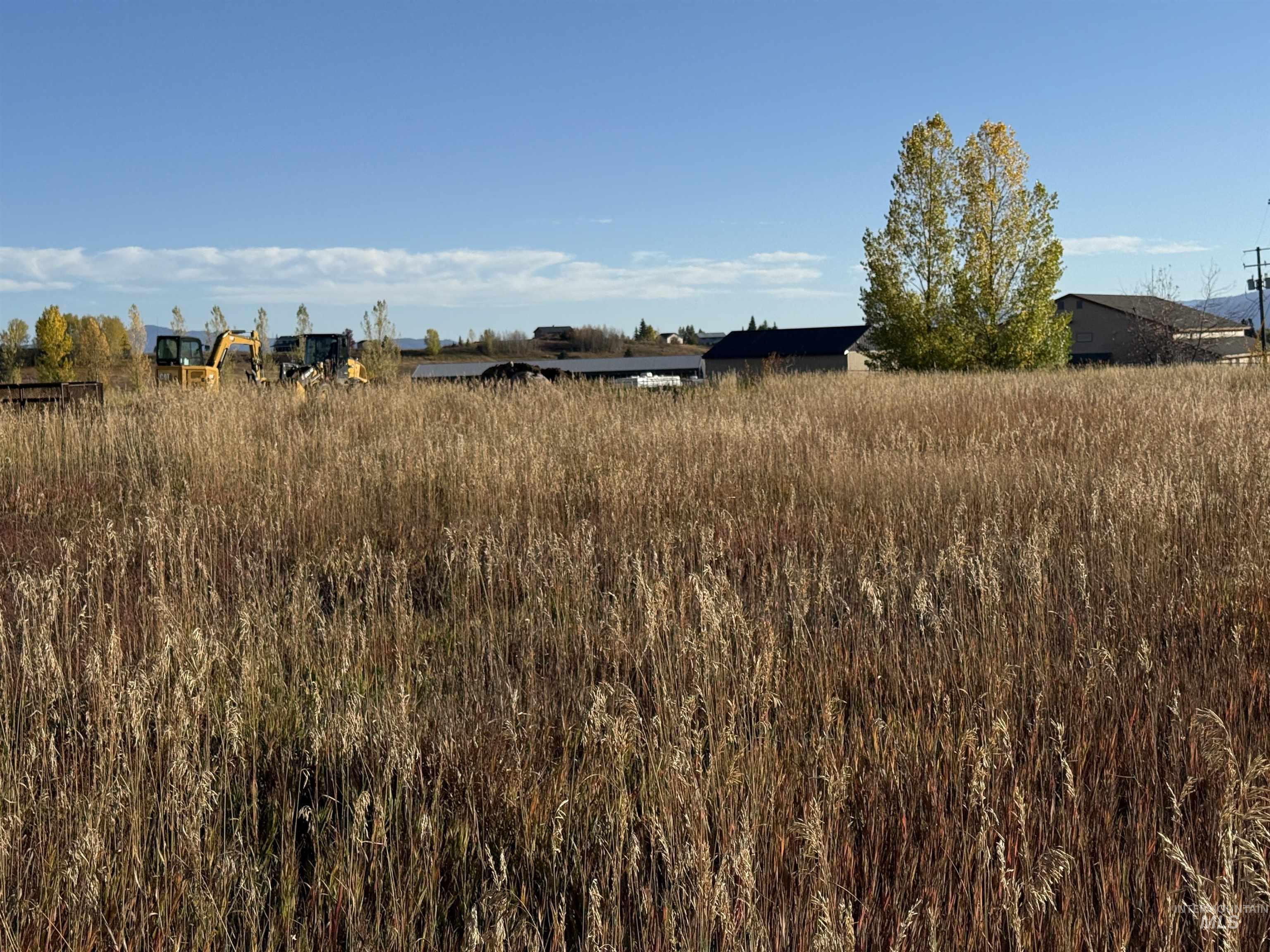 View of undeveloped land