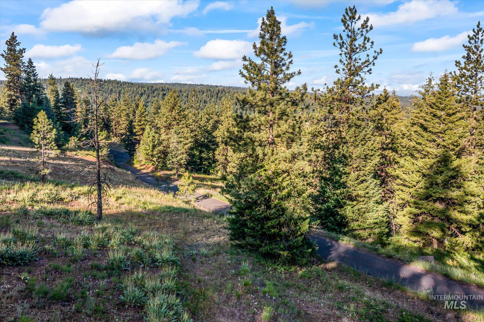 Bird's eye view of a heavily wooded area
