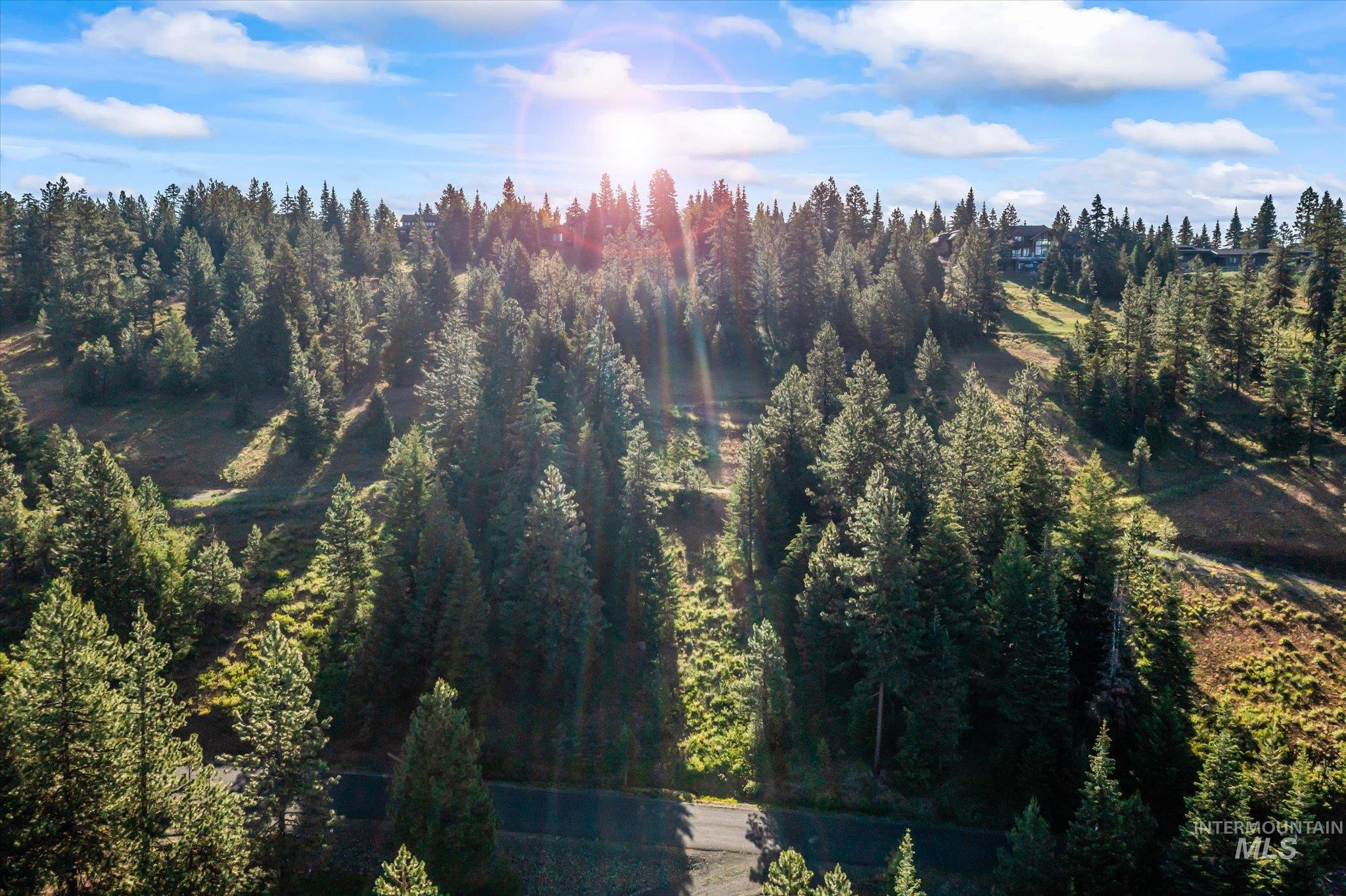 Aerial view of a heavily wooded area