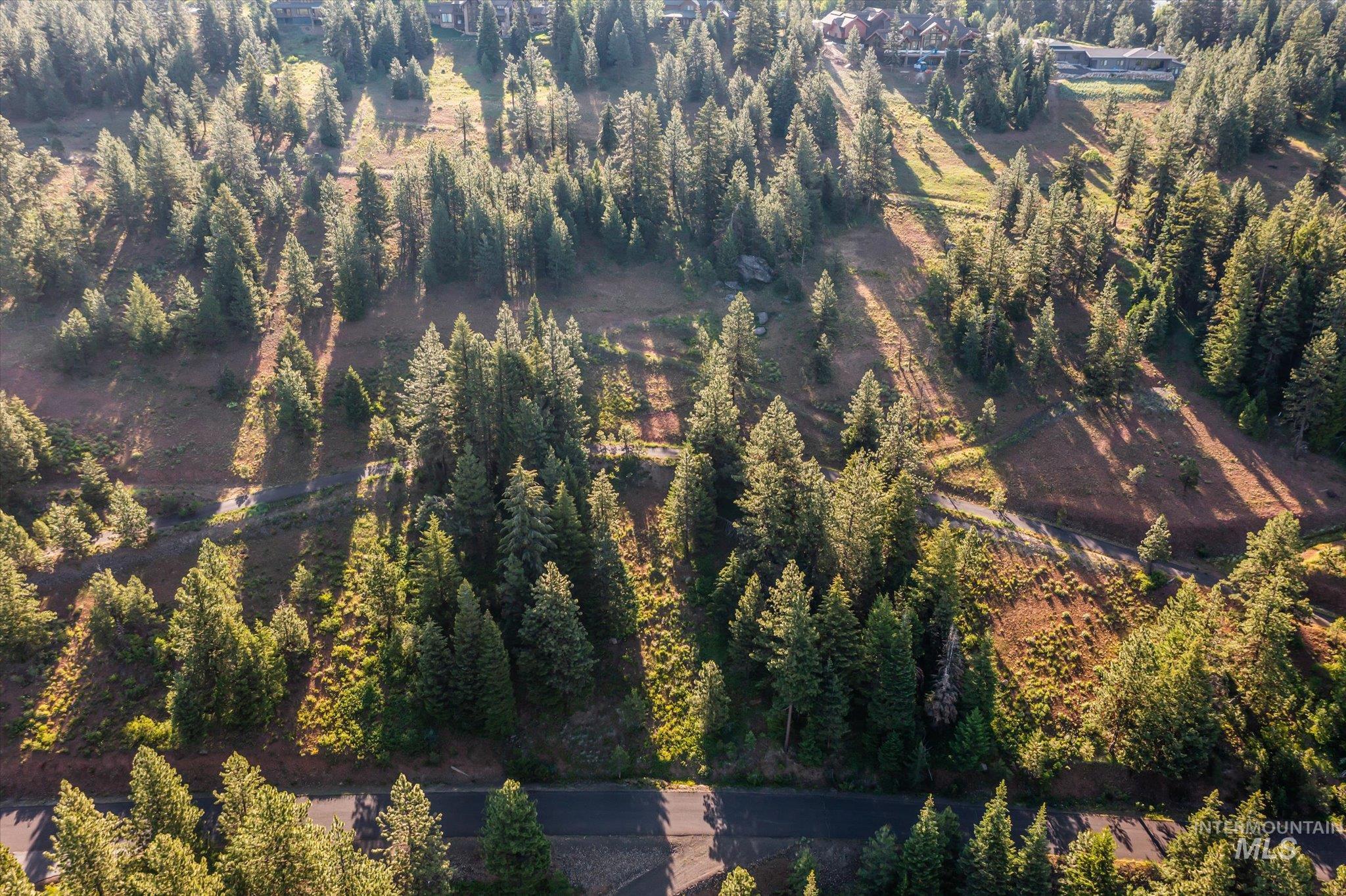 View of property location featuring a forest
