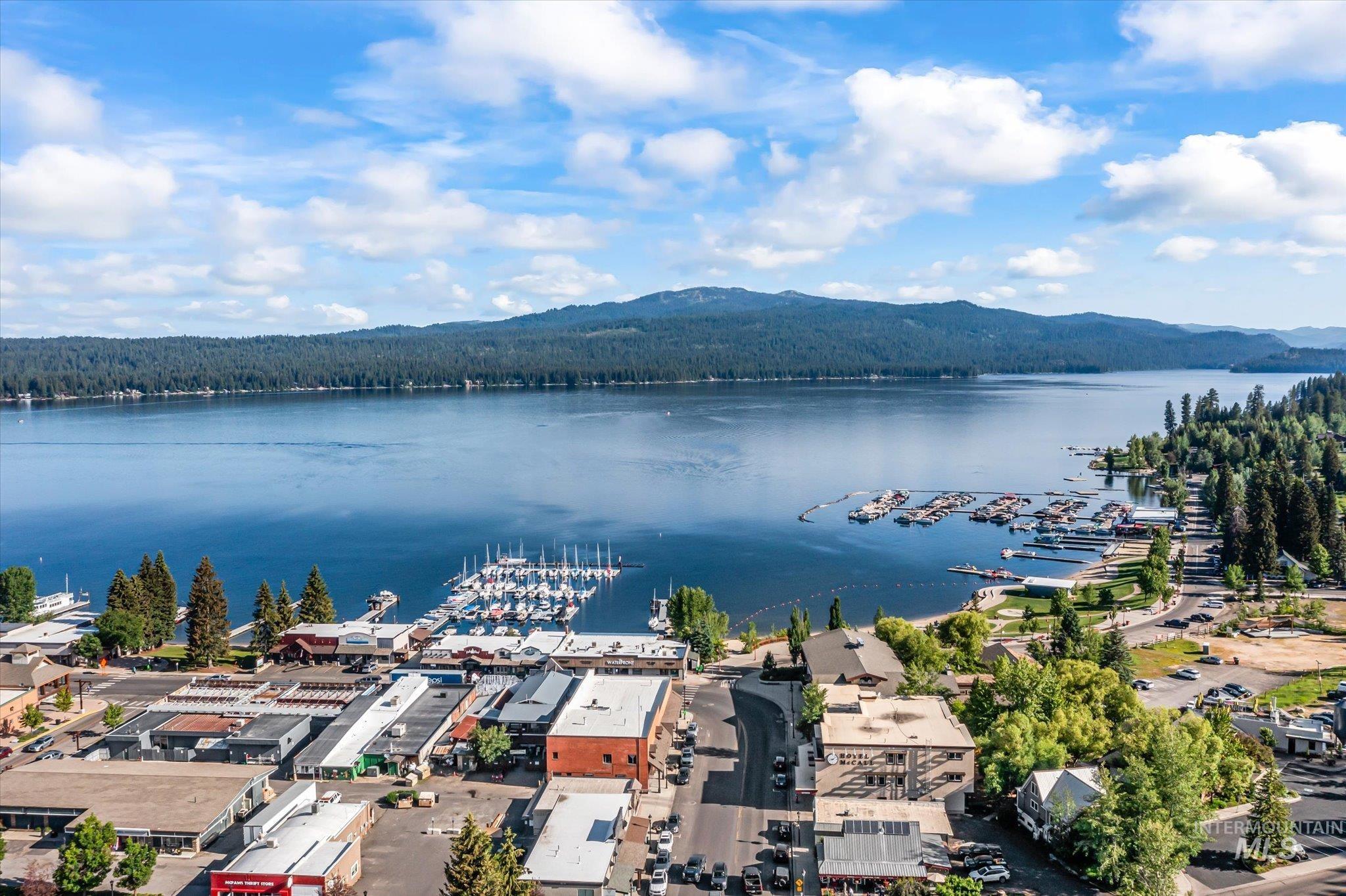 Drone / aerial view of a marina and a water and mountain view