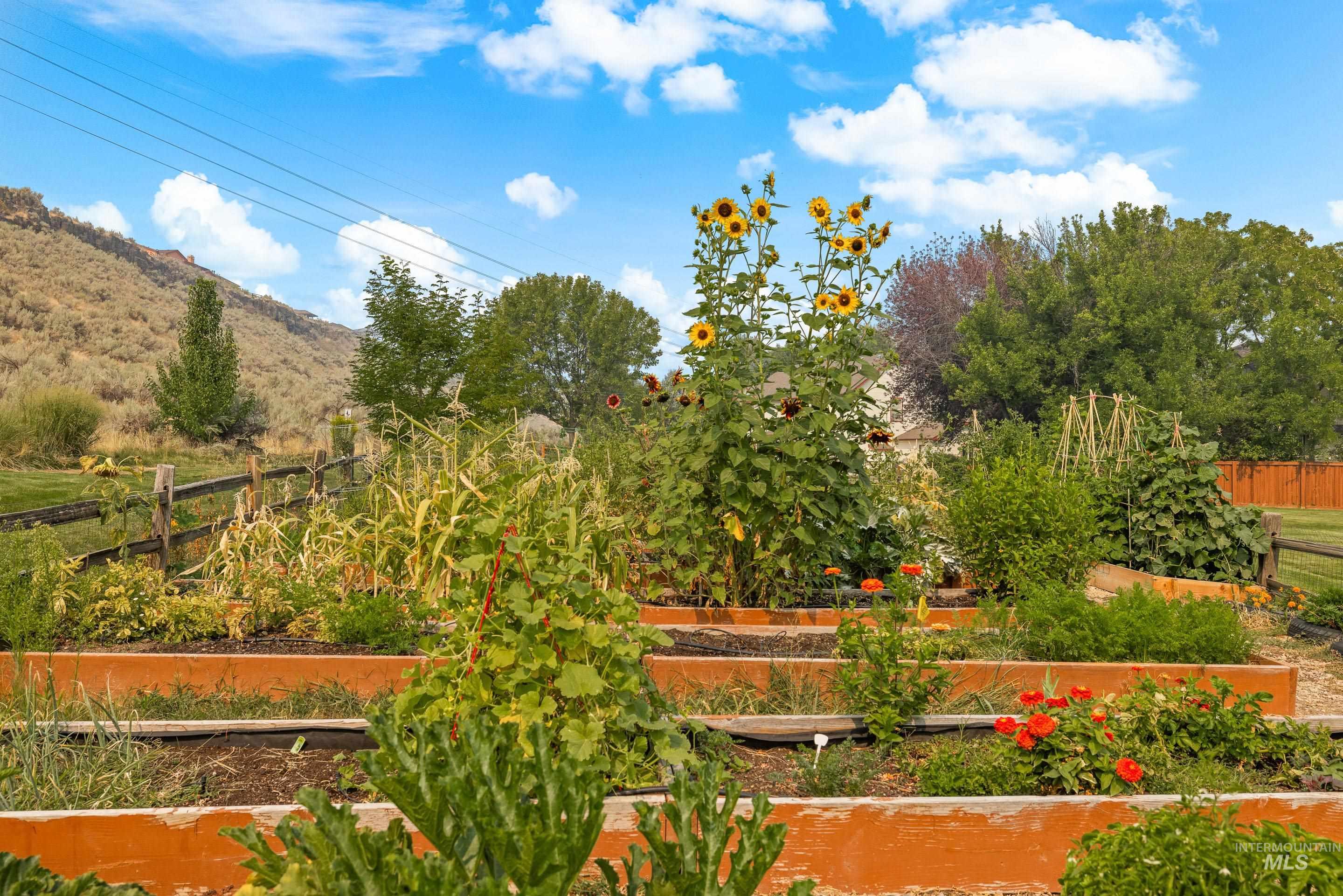 View of yard featuring a garden and a mountain view