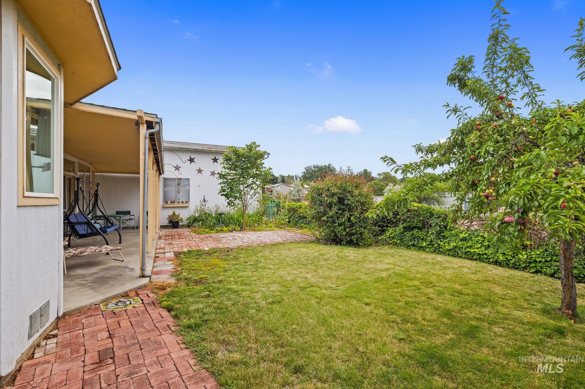 Expansive lawn area with a mature fruit tree and established perimeter landscaping