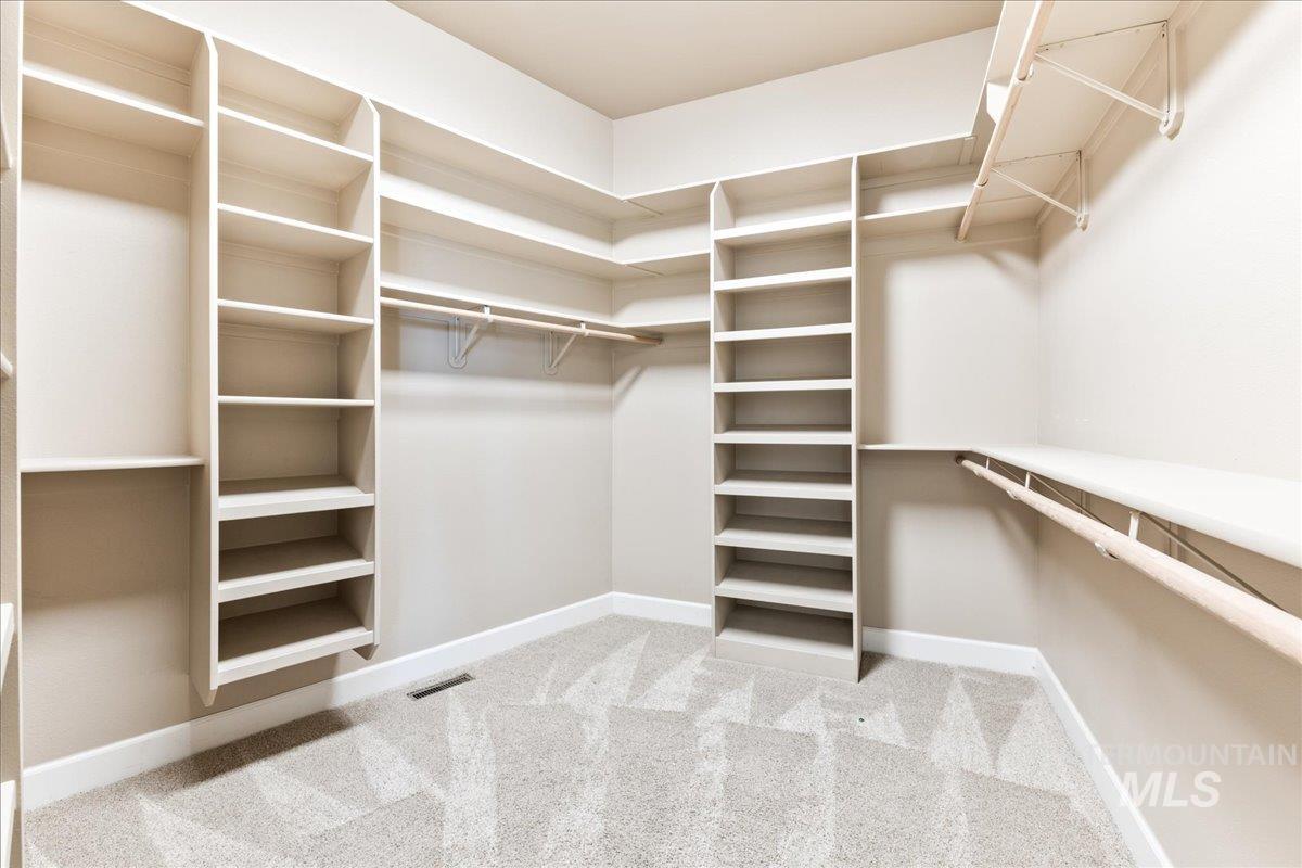Spacious closet featuring light carpet