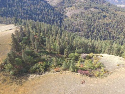 Photo of TBD Summit Lot B, Lenore, ID 83541 (MLS # 98966761)