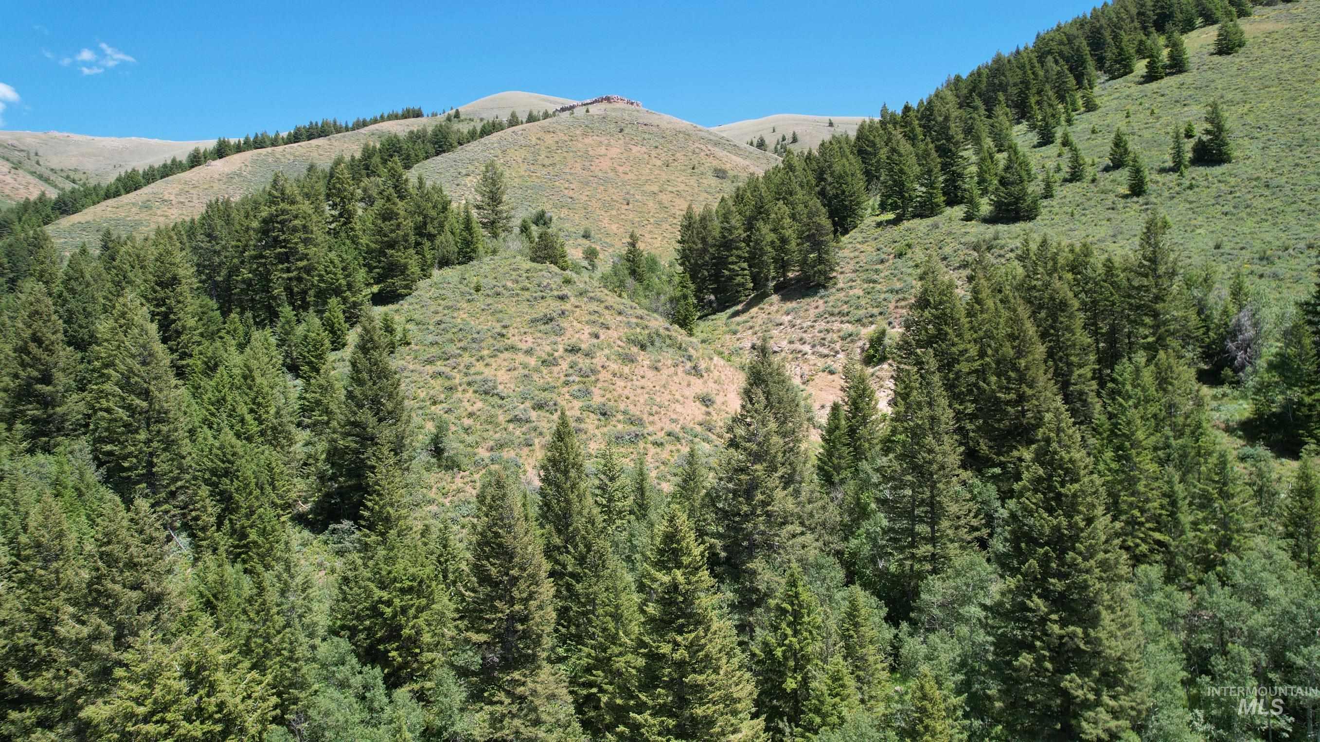 TBD Bull Canyon Road