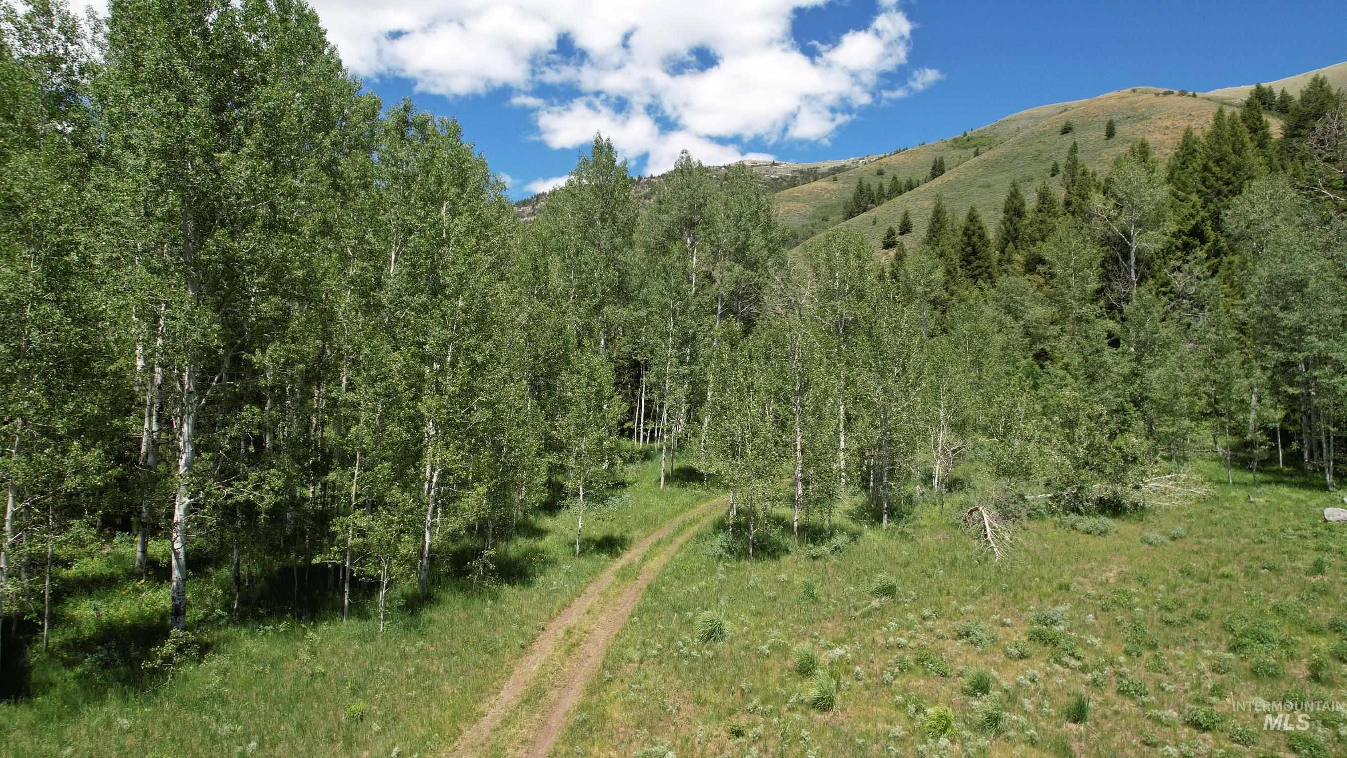 TBD Bull Canyon Road