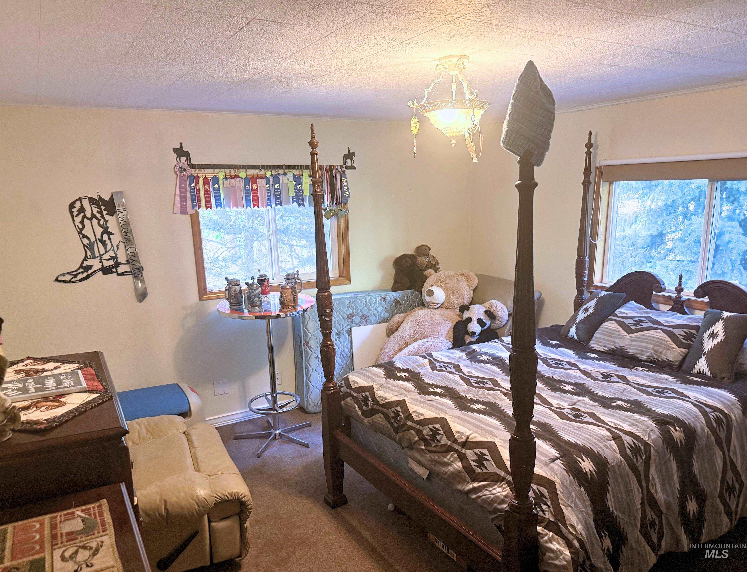 Carpeted bedroom with multiple windows