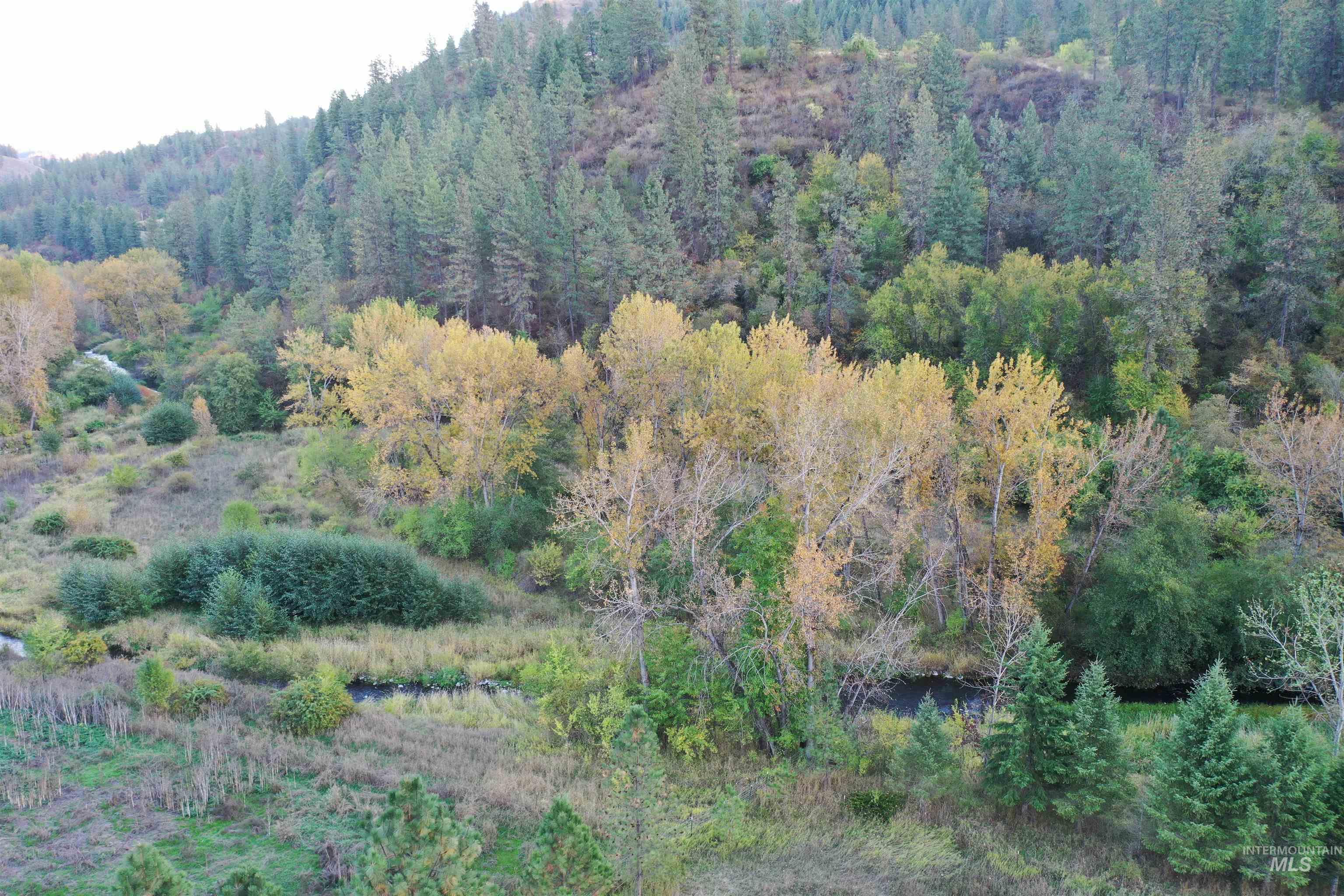 Aerial view of property's location featuring a forest