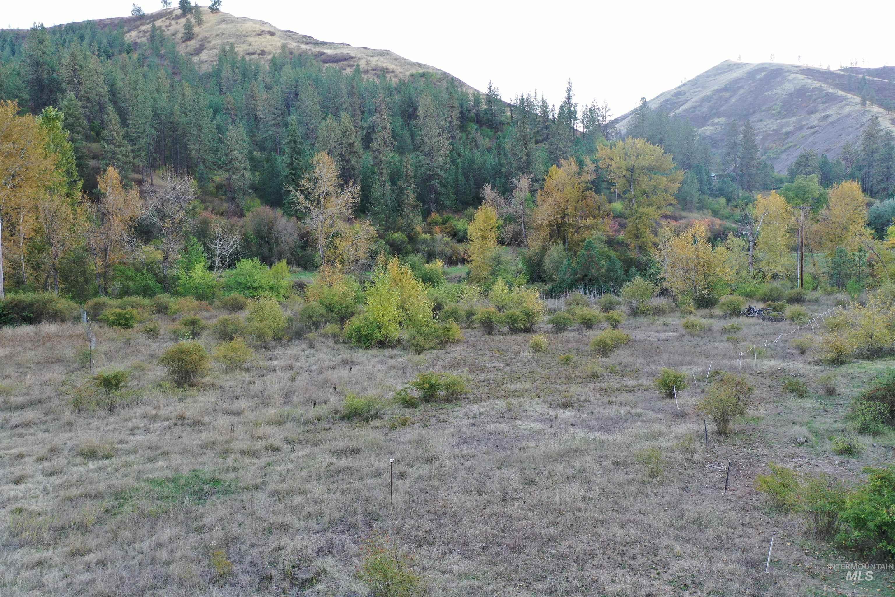 View of mountain background