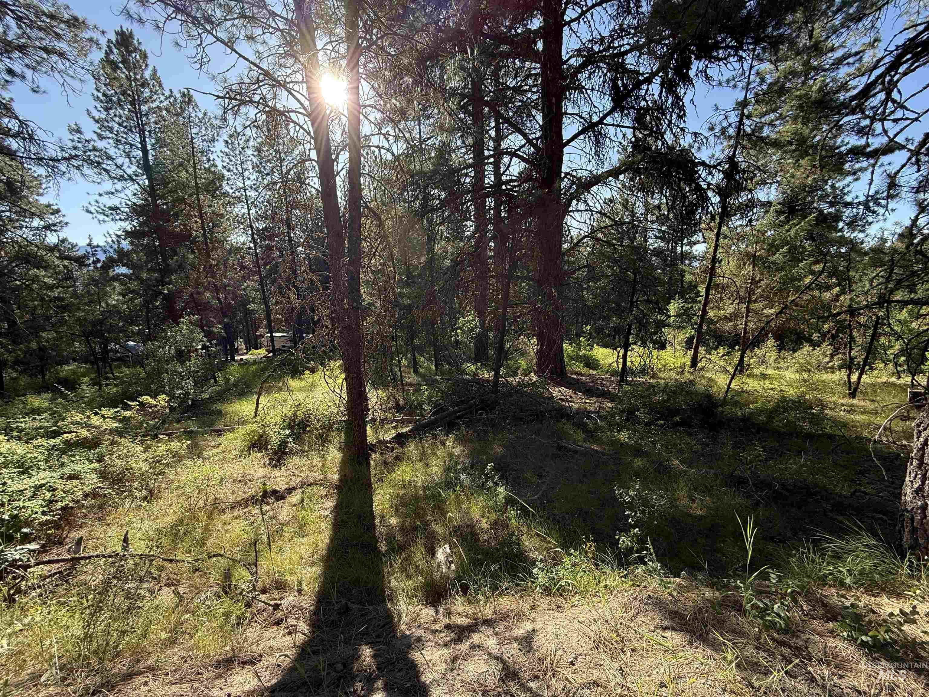 1307 Crown Point Parkway