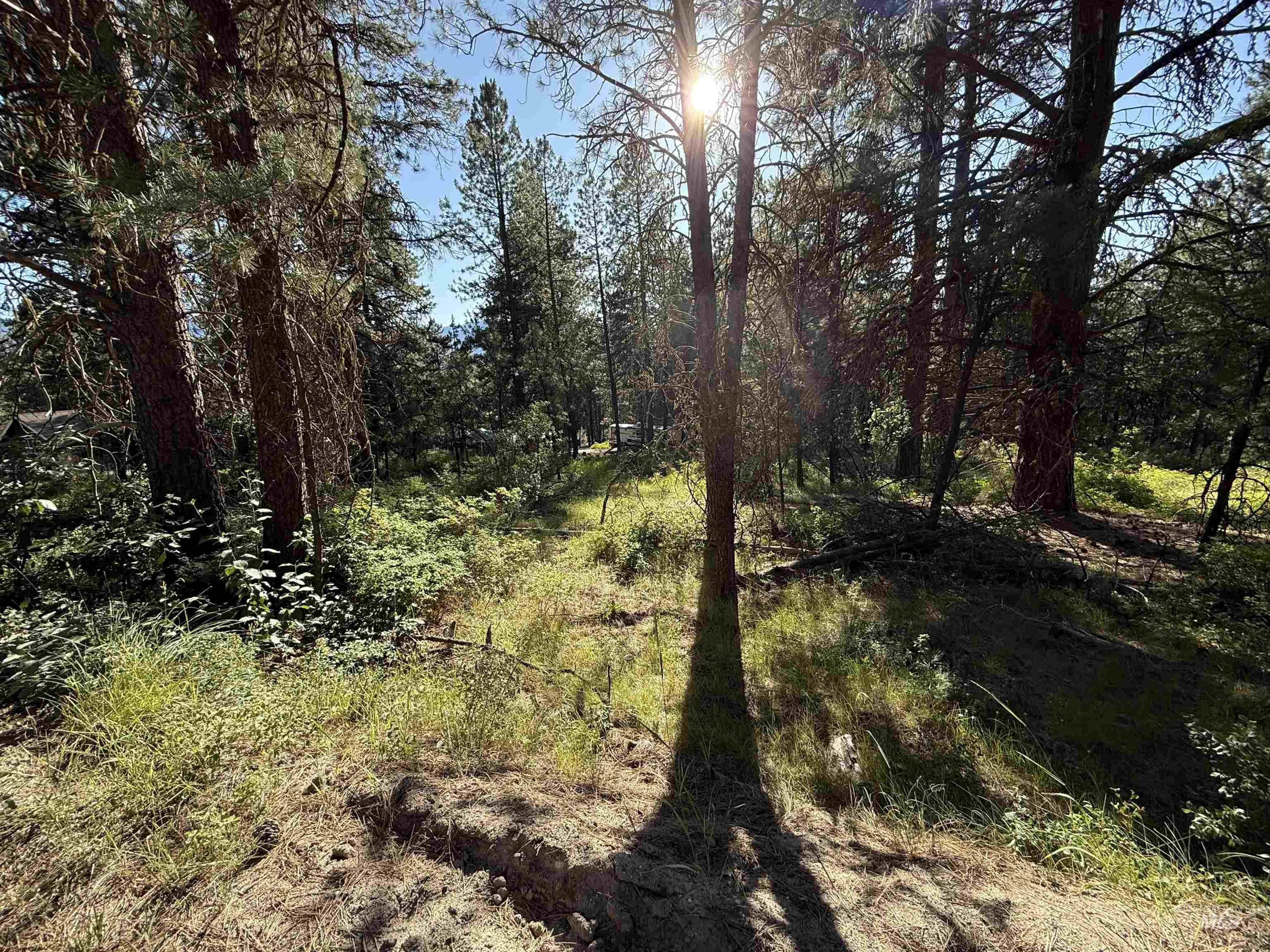 1307 Crown Point Parkway