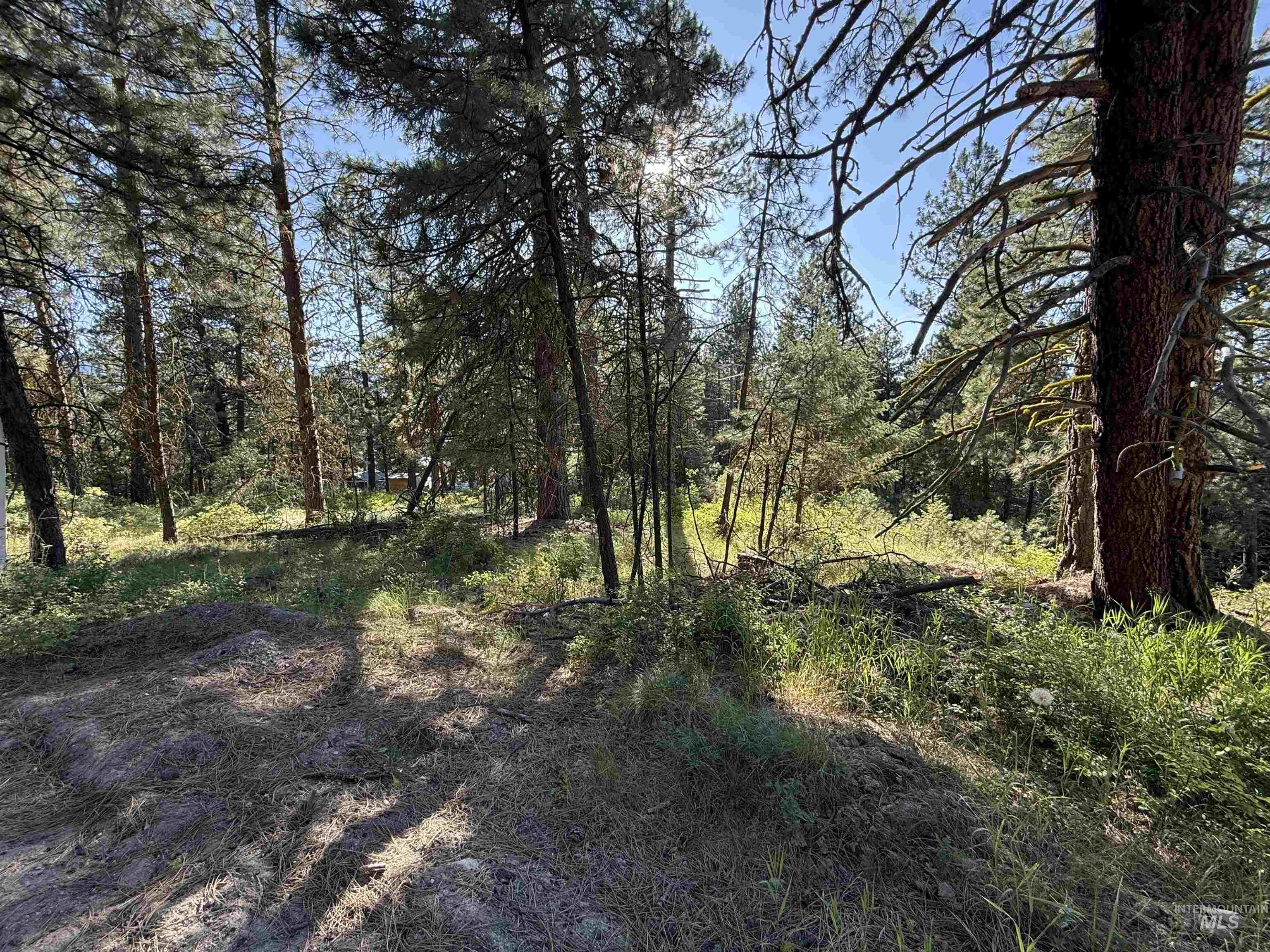 1307 Crown Point Parkway