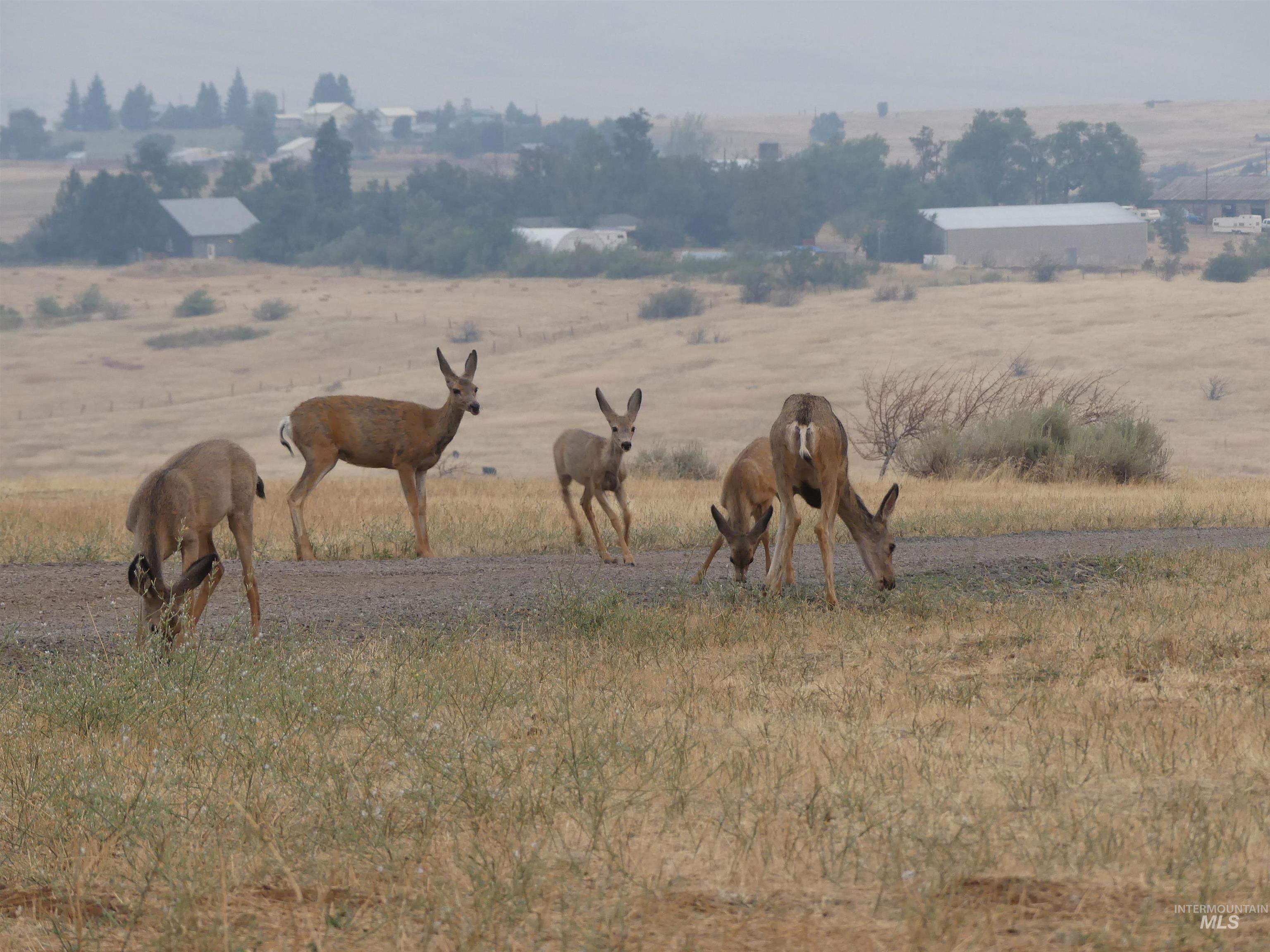 TBD Apple Lane Block 4 Lot 13, Mesa, Idaho image 7