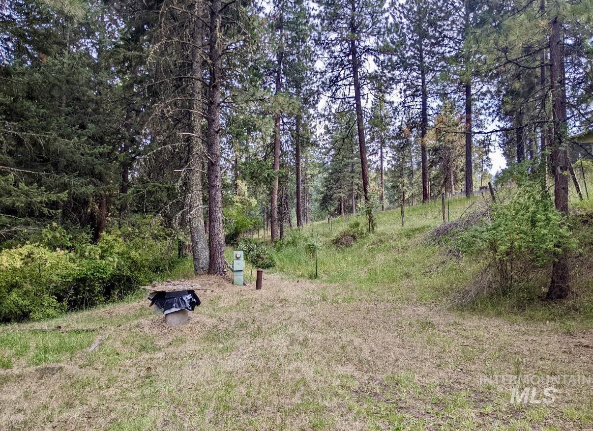 View of yard featuring a forest view