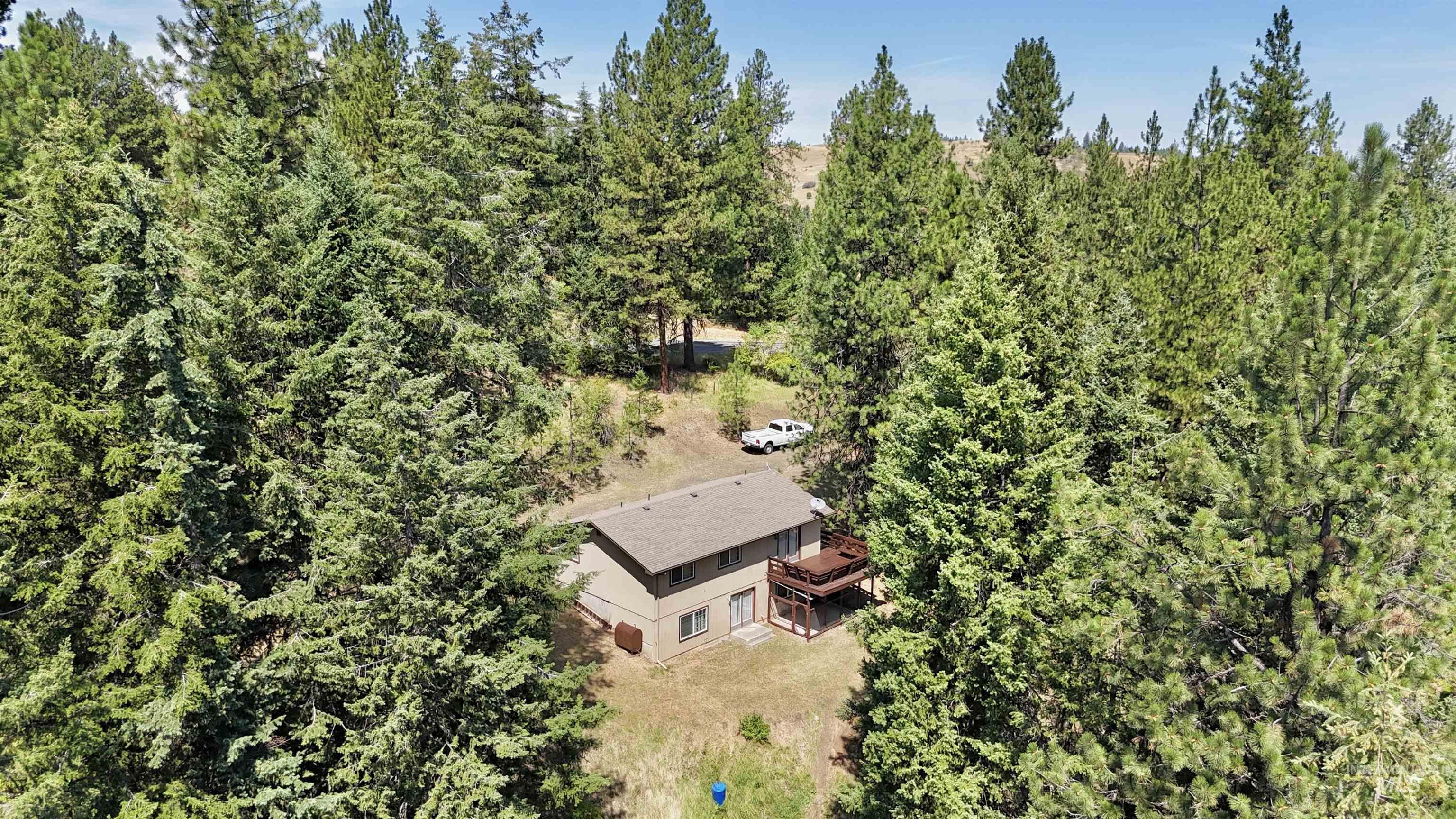 View of subject property featuring a forest